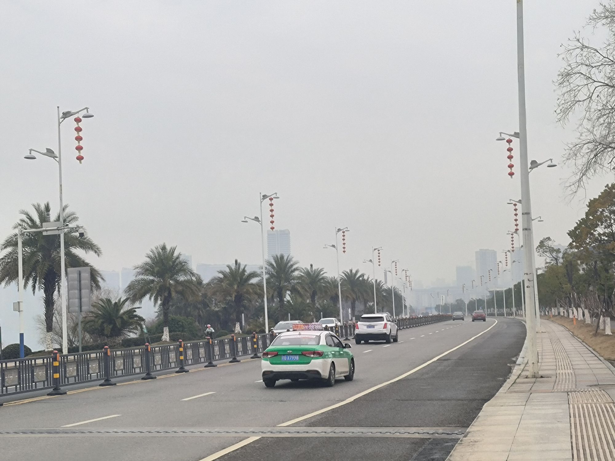 八里湖婚礼公园旅行图片 1