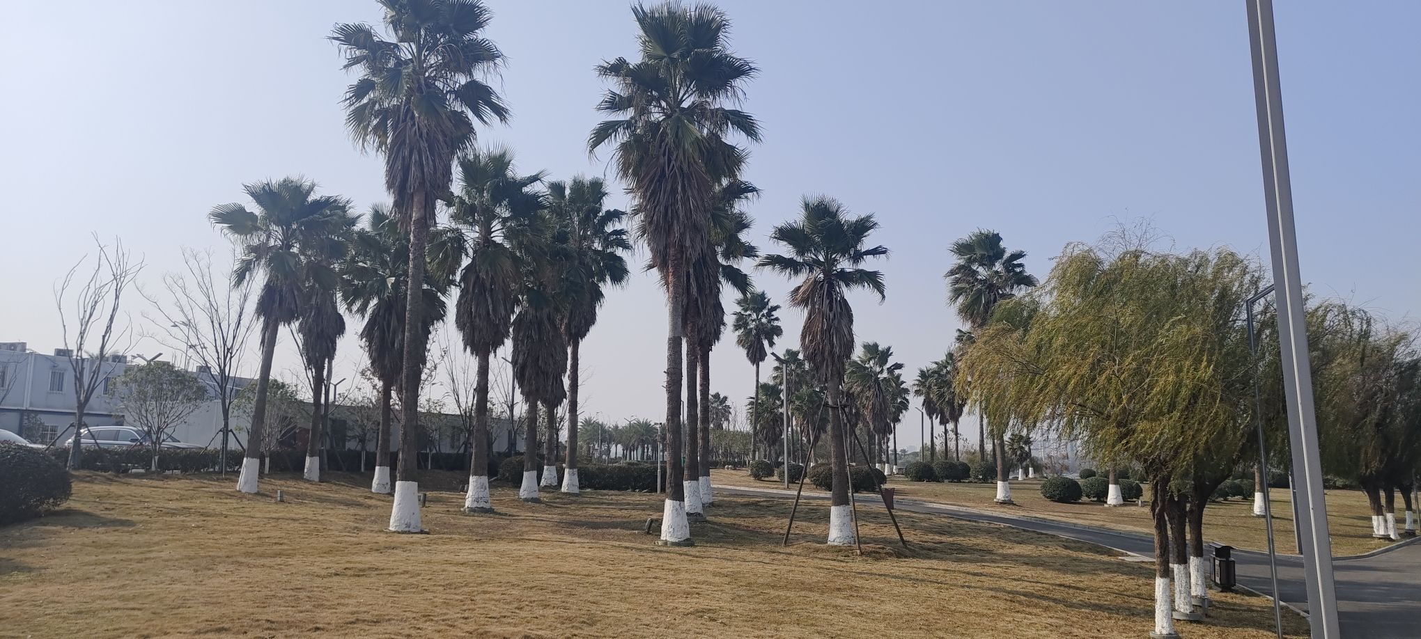 八里湖婚礼公园旅行图片 3