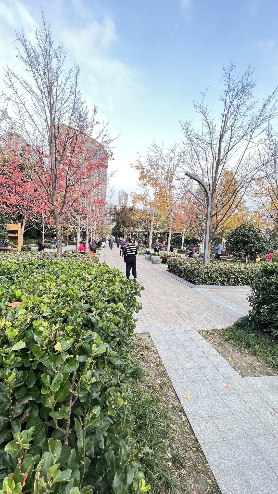 中兴公园旅行图片 2