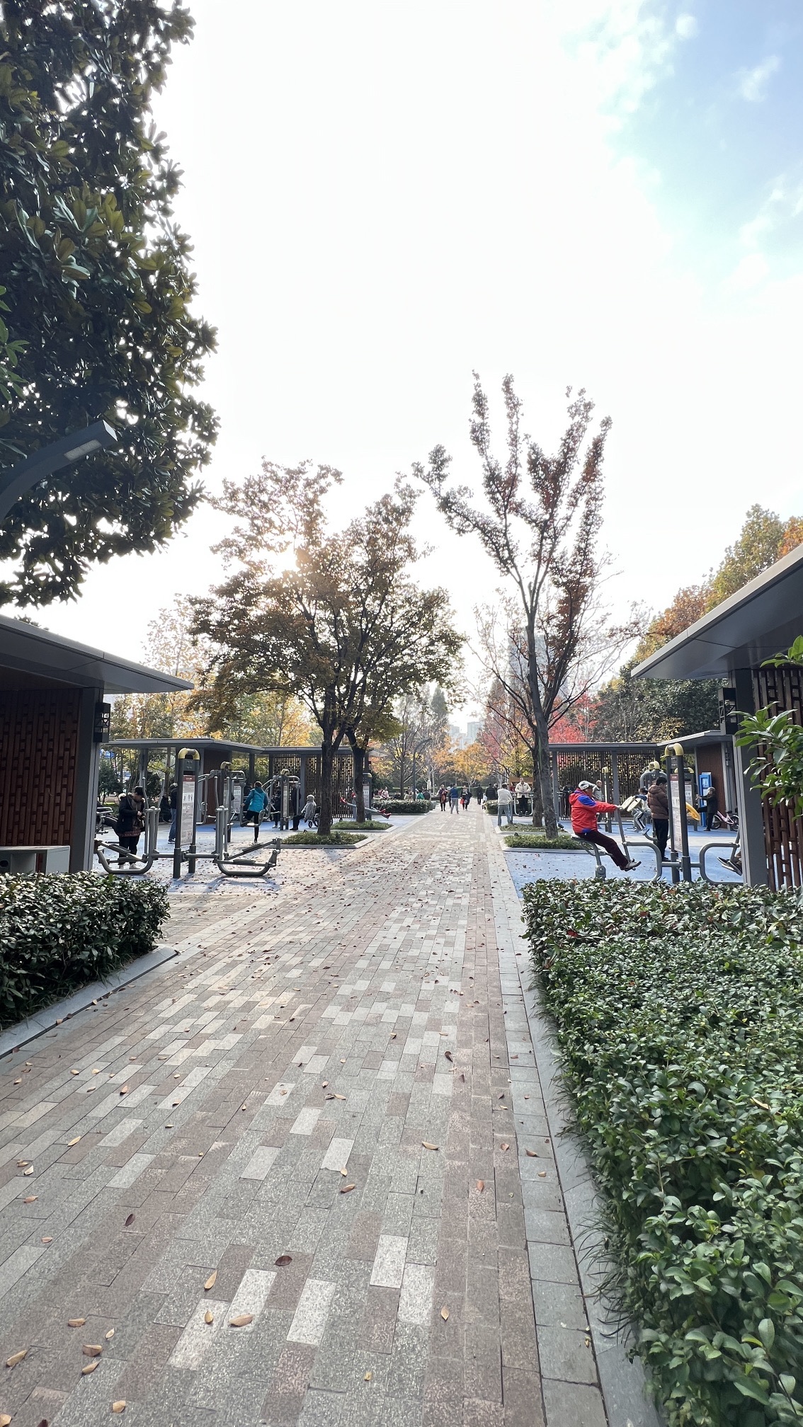 中兴公园旅行图片 3
