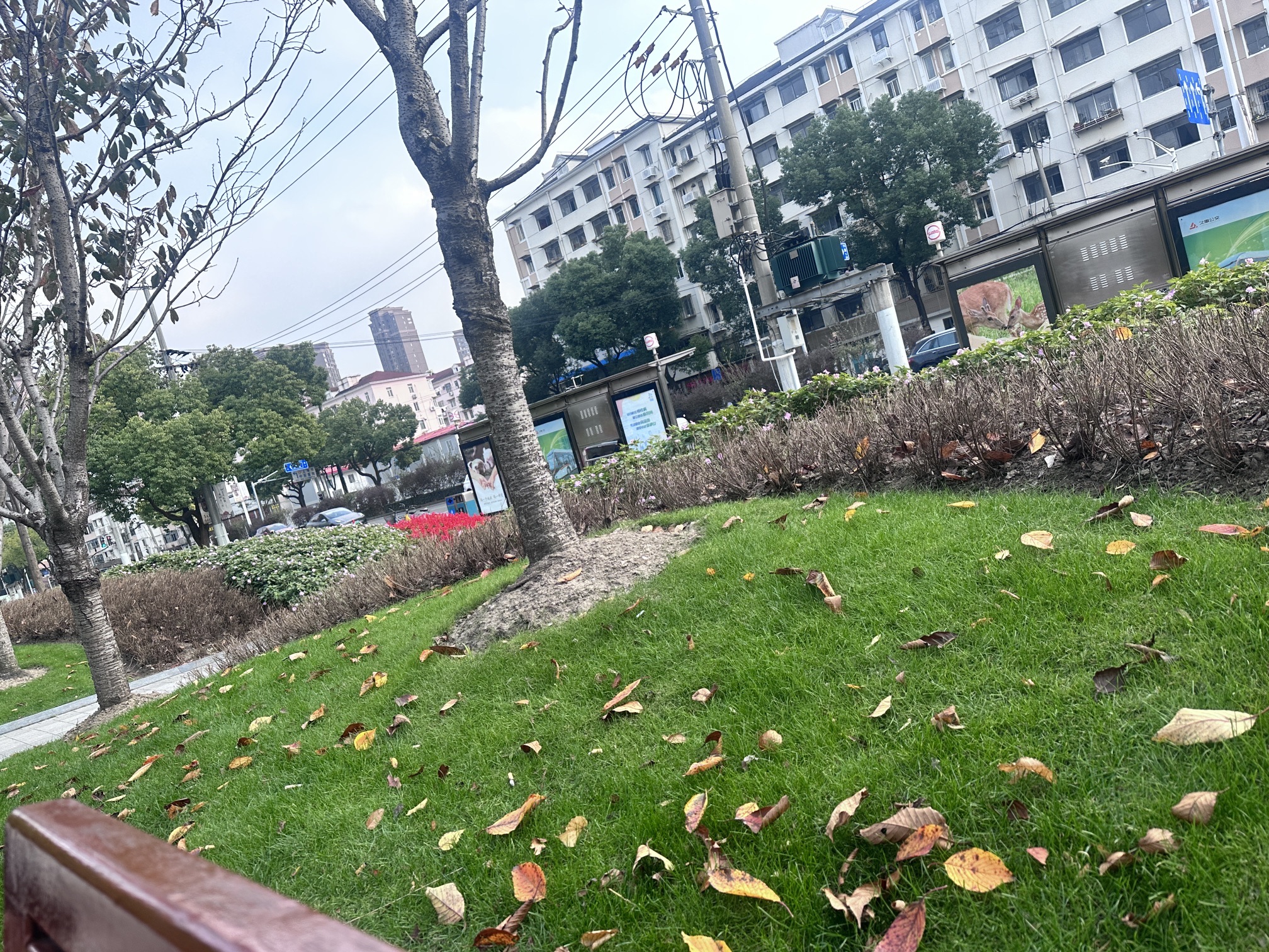 中兴公园旅行图片 3
