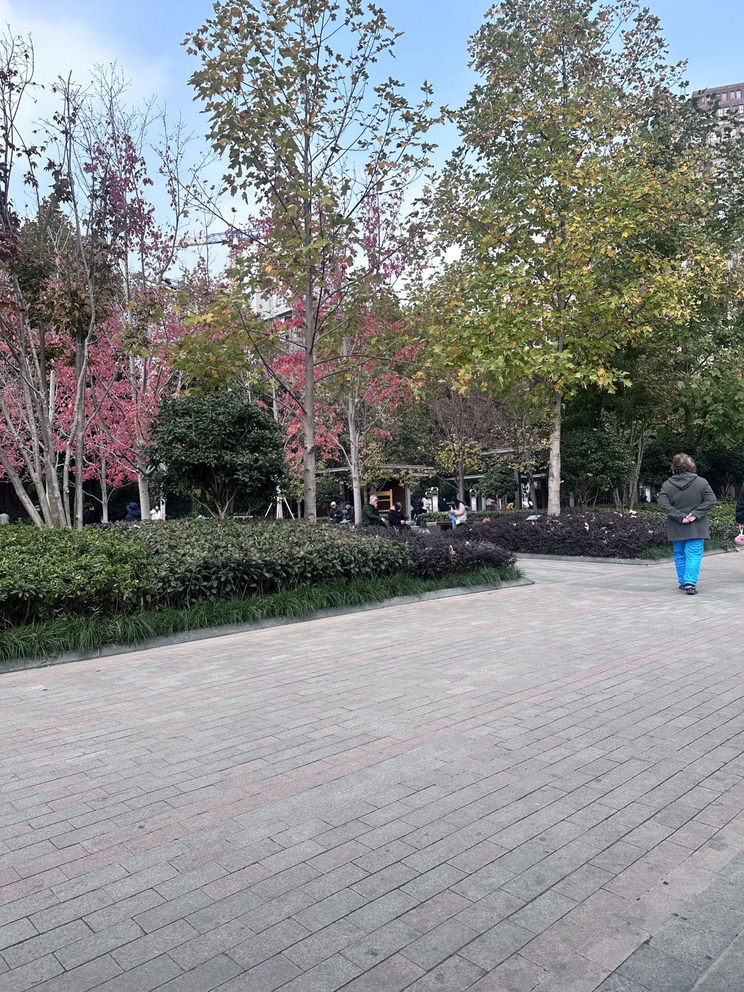 中兴公园旅行图片 1