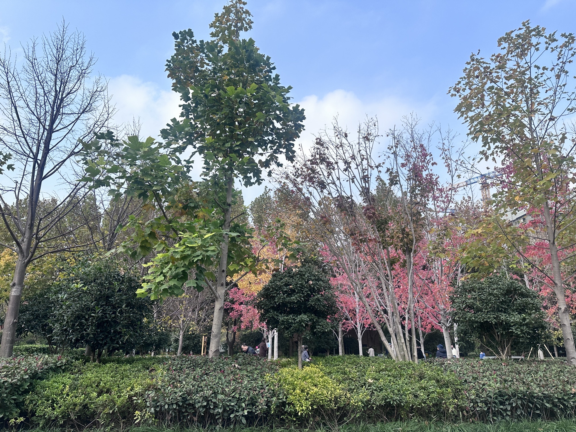 中兴公园旅行图片 2