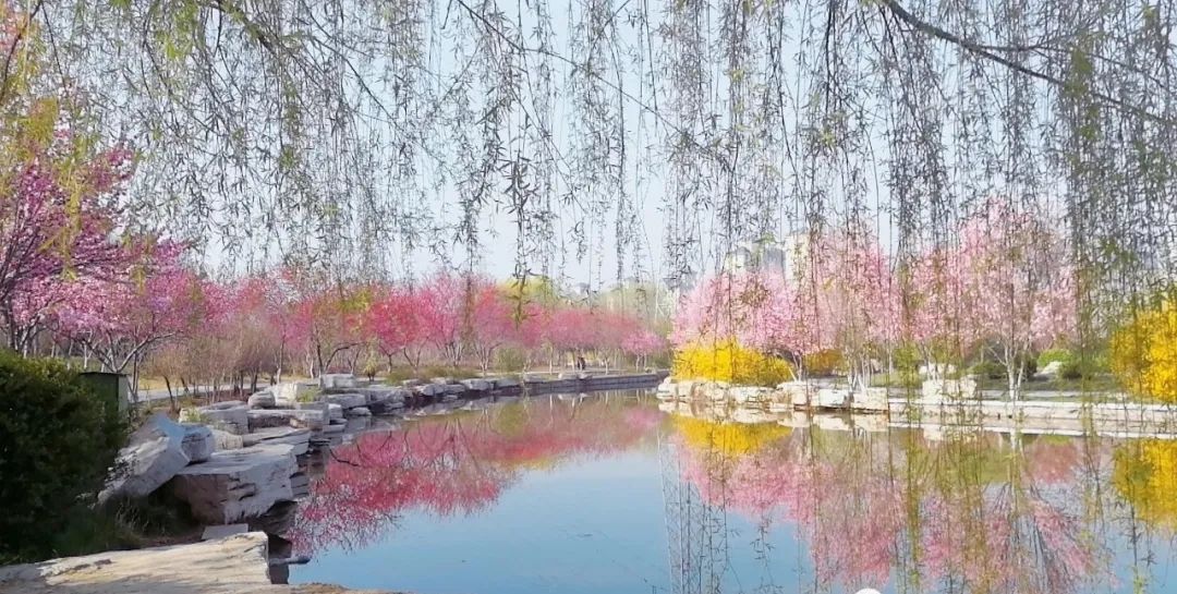 明珠公园旅行图片 1