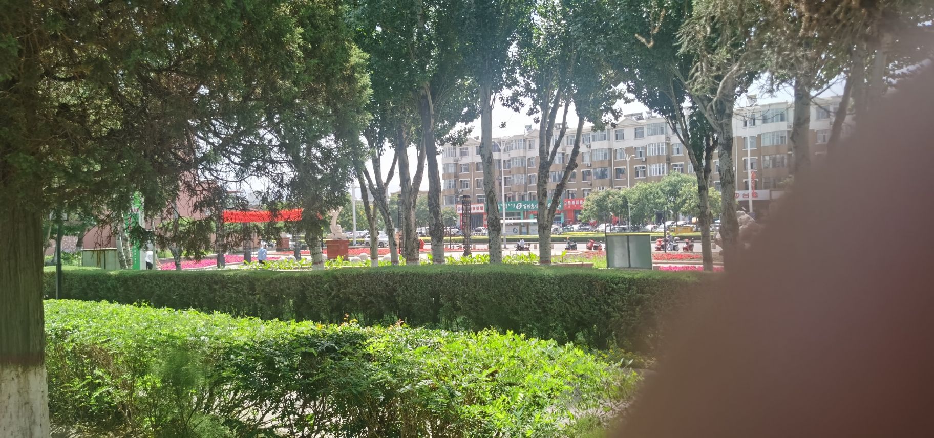 乌达区人民公园旅行图片 3