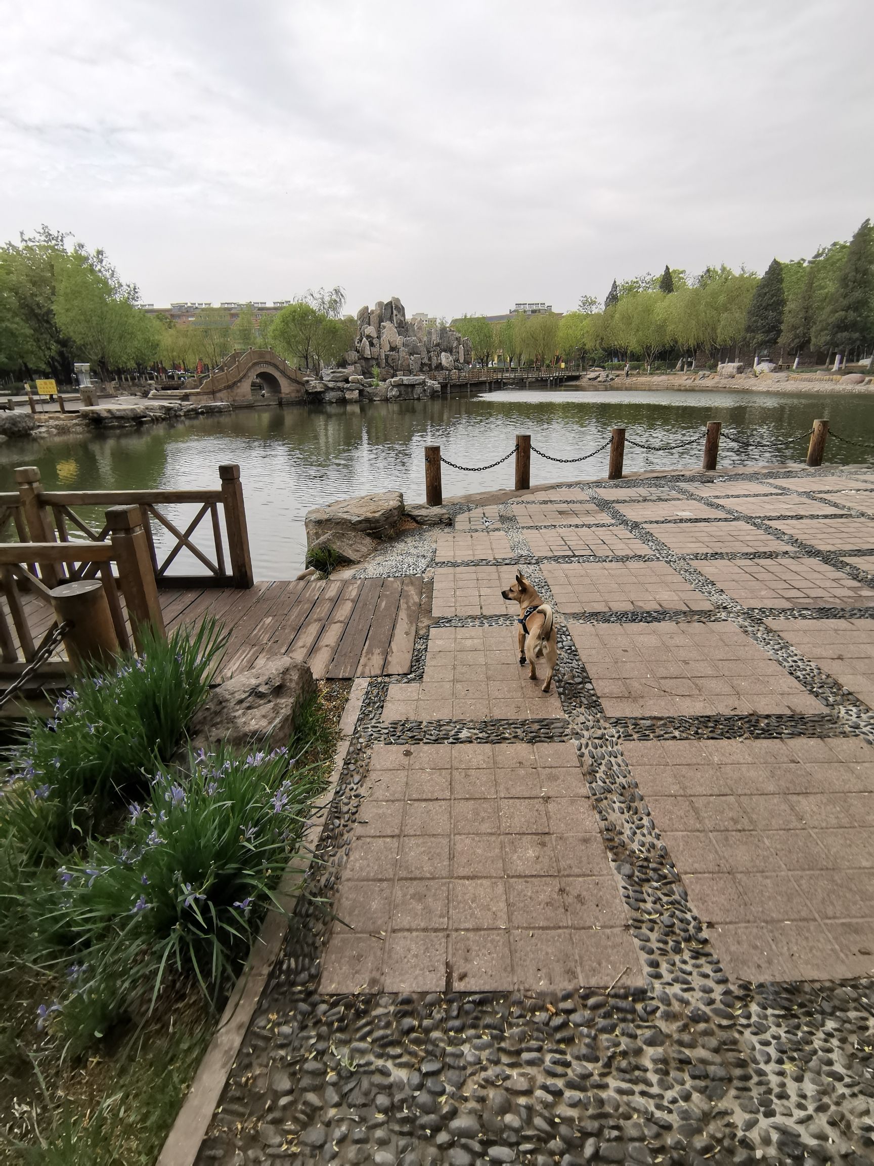 乌达区人民公园旅行图片 1