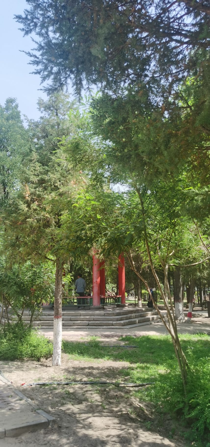 乌达区人民公园旅行图片 2