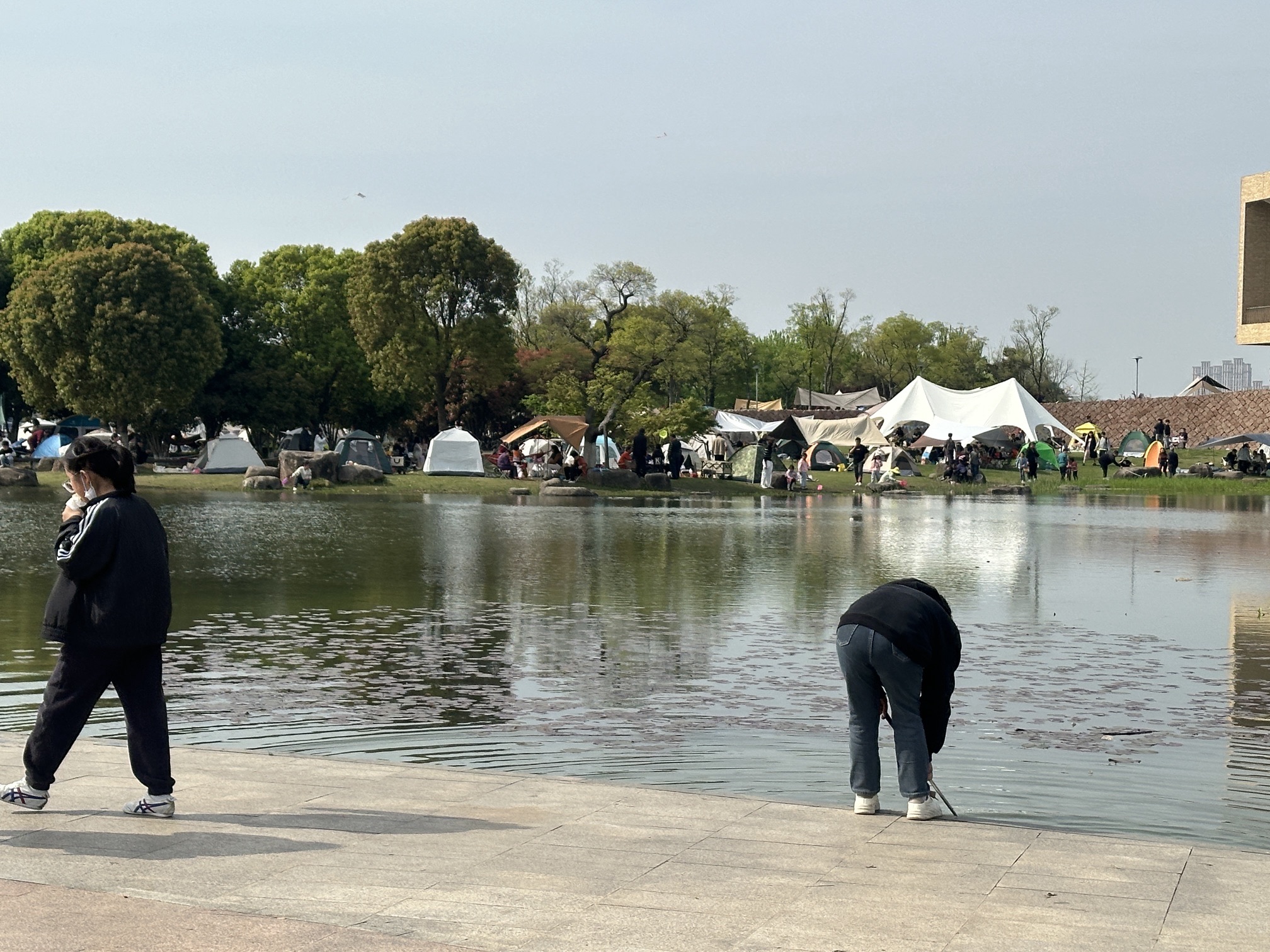 滆湖公园旅行图片 3