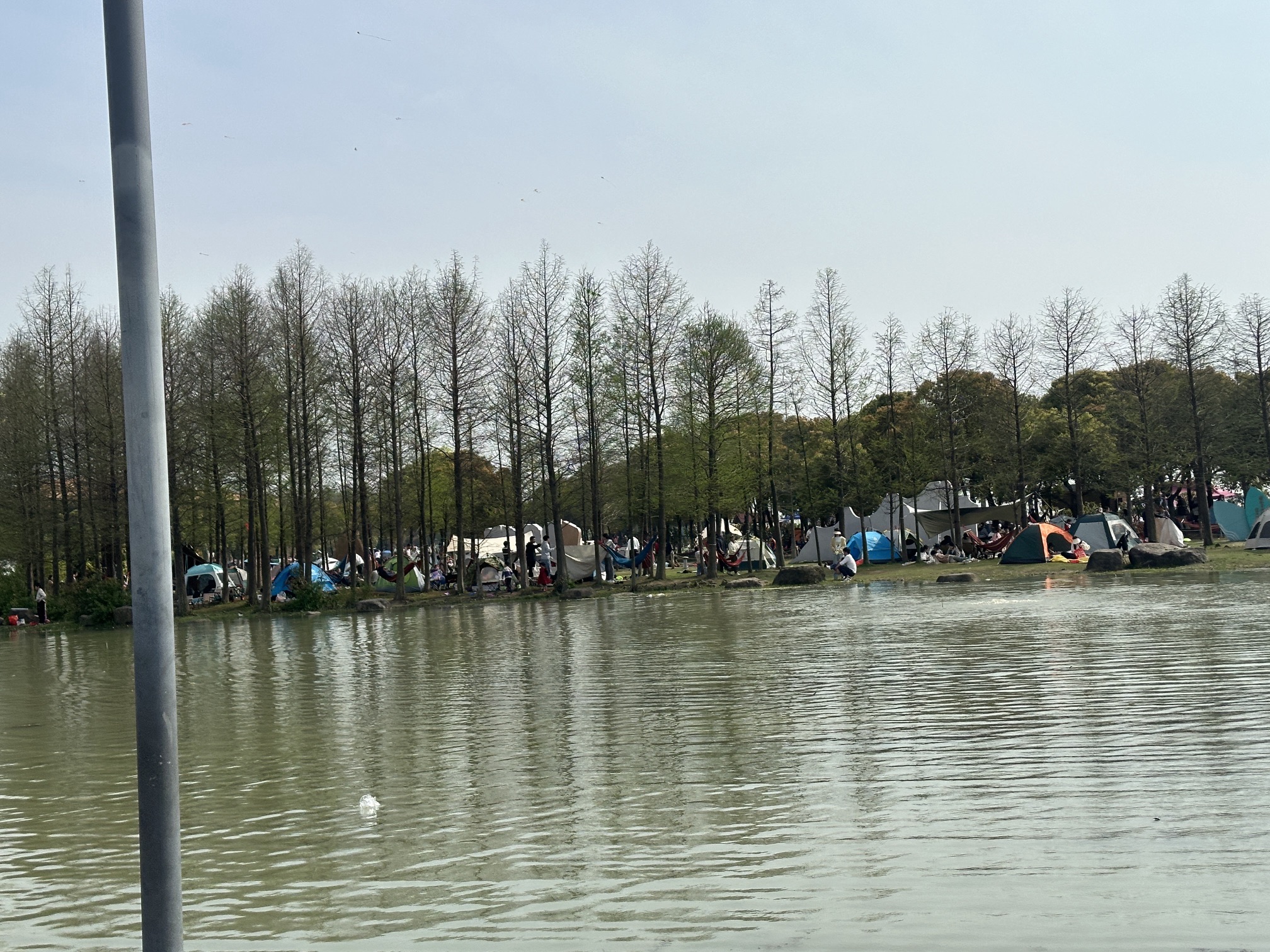 滆湖公园旅行图片 2