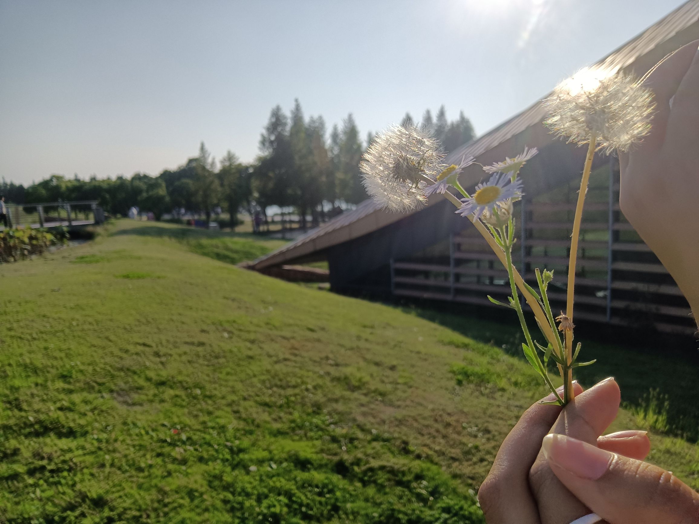 滆湖公园旅行图片 3