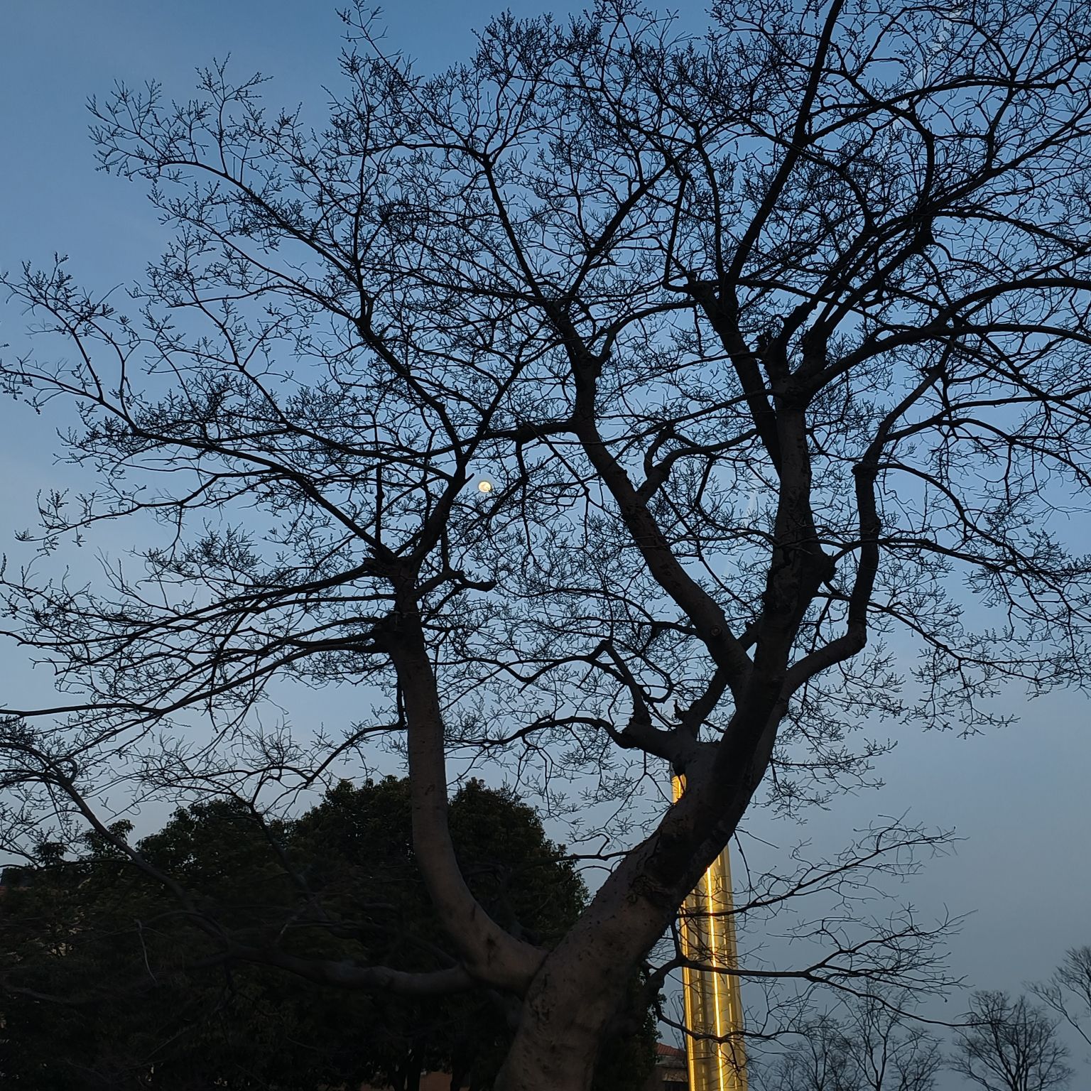 滆湖公园旅行图片 1