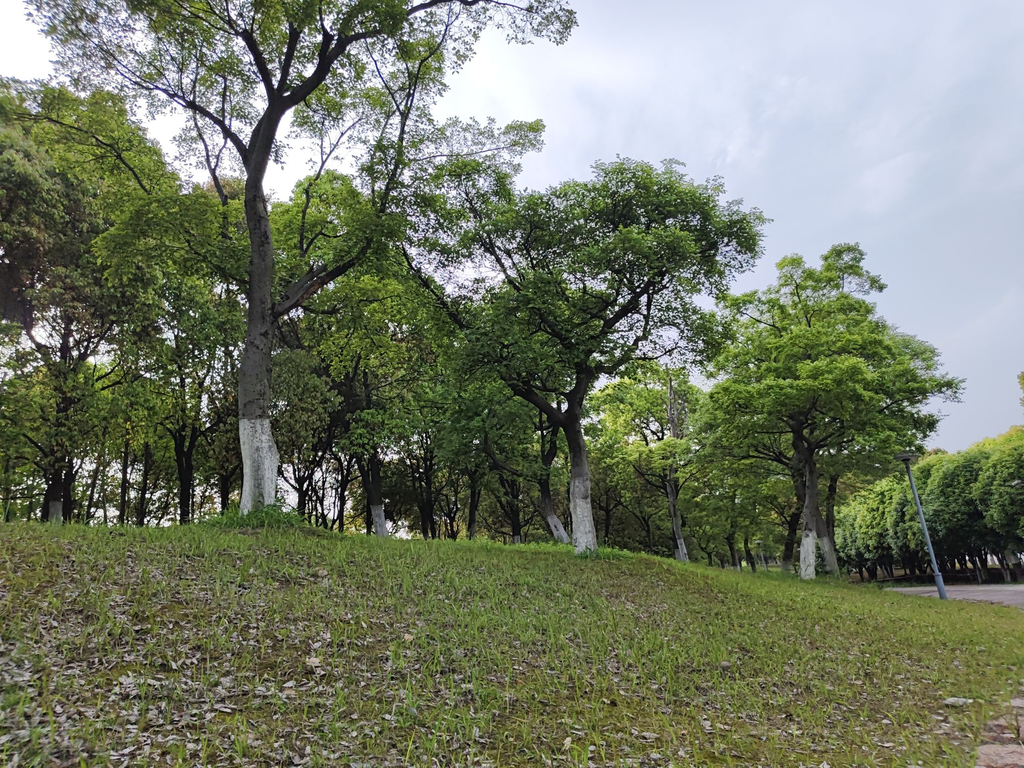 滆湖公园旅行图片 2