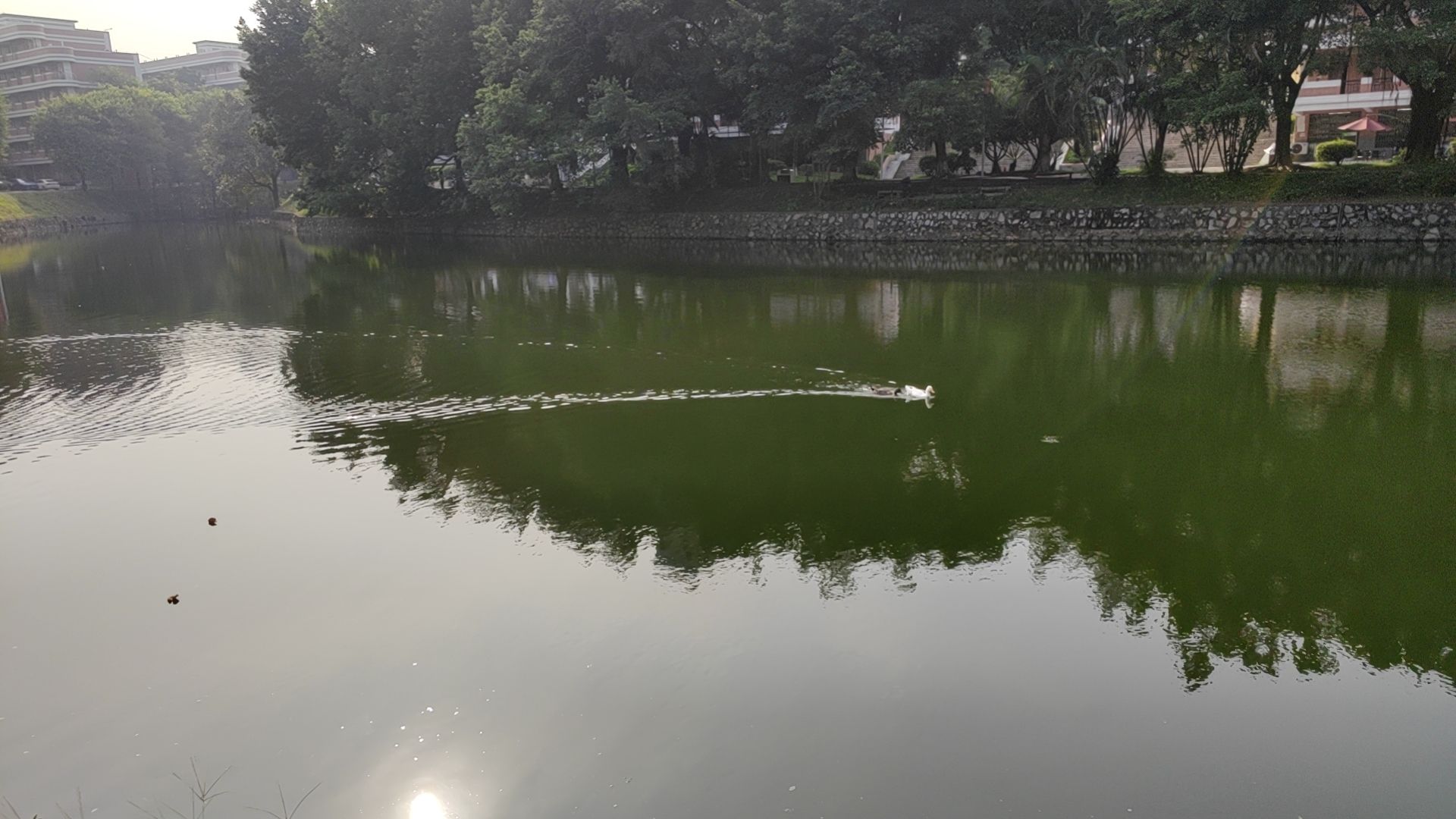 西湖旅行图片 1