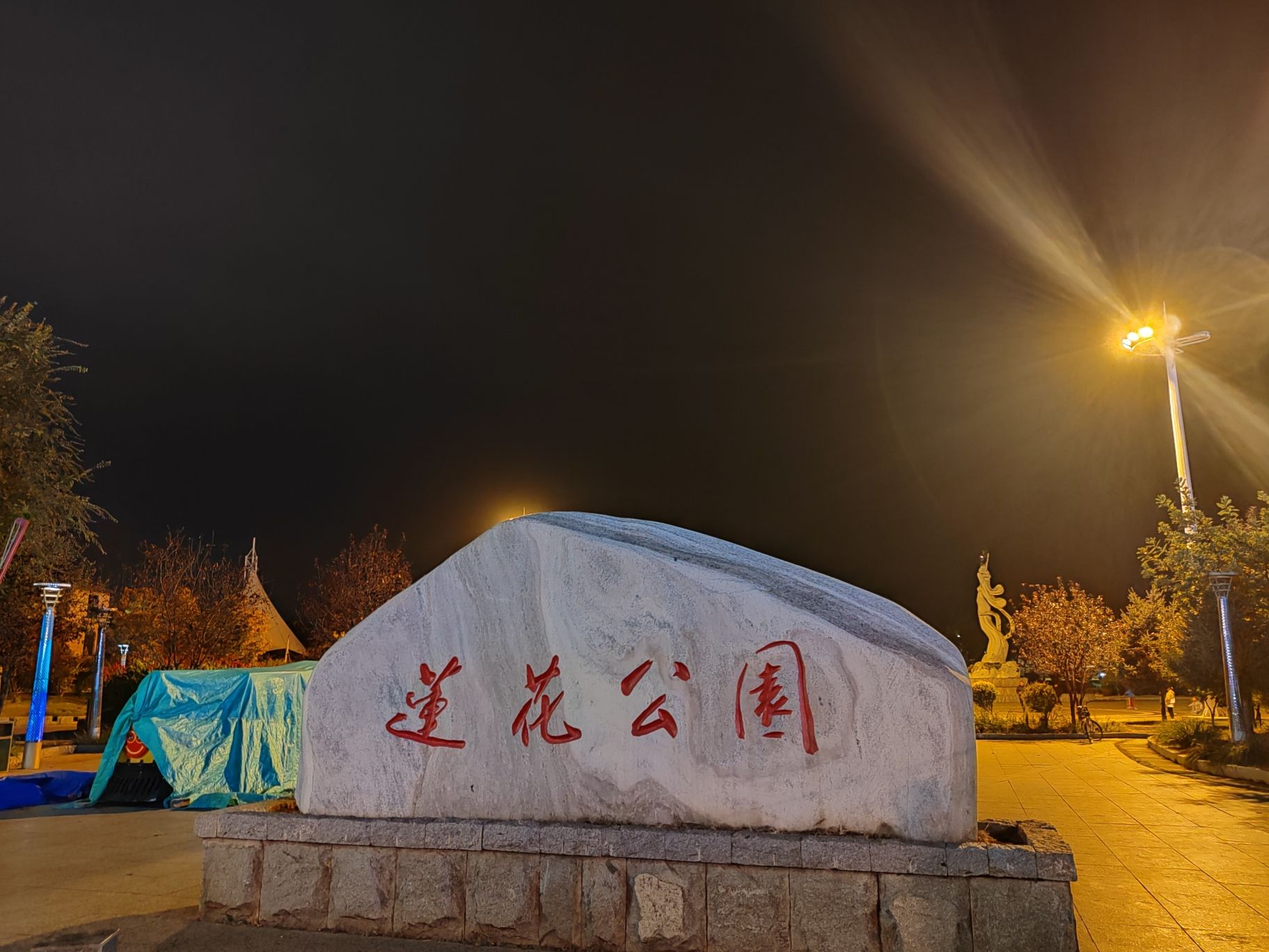 莲花公园旅行图片 1