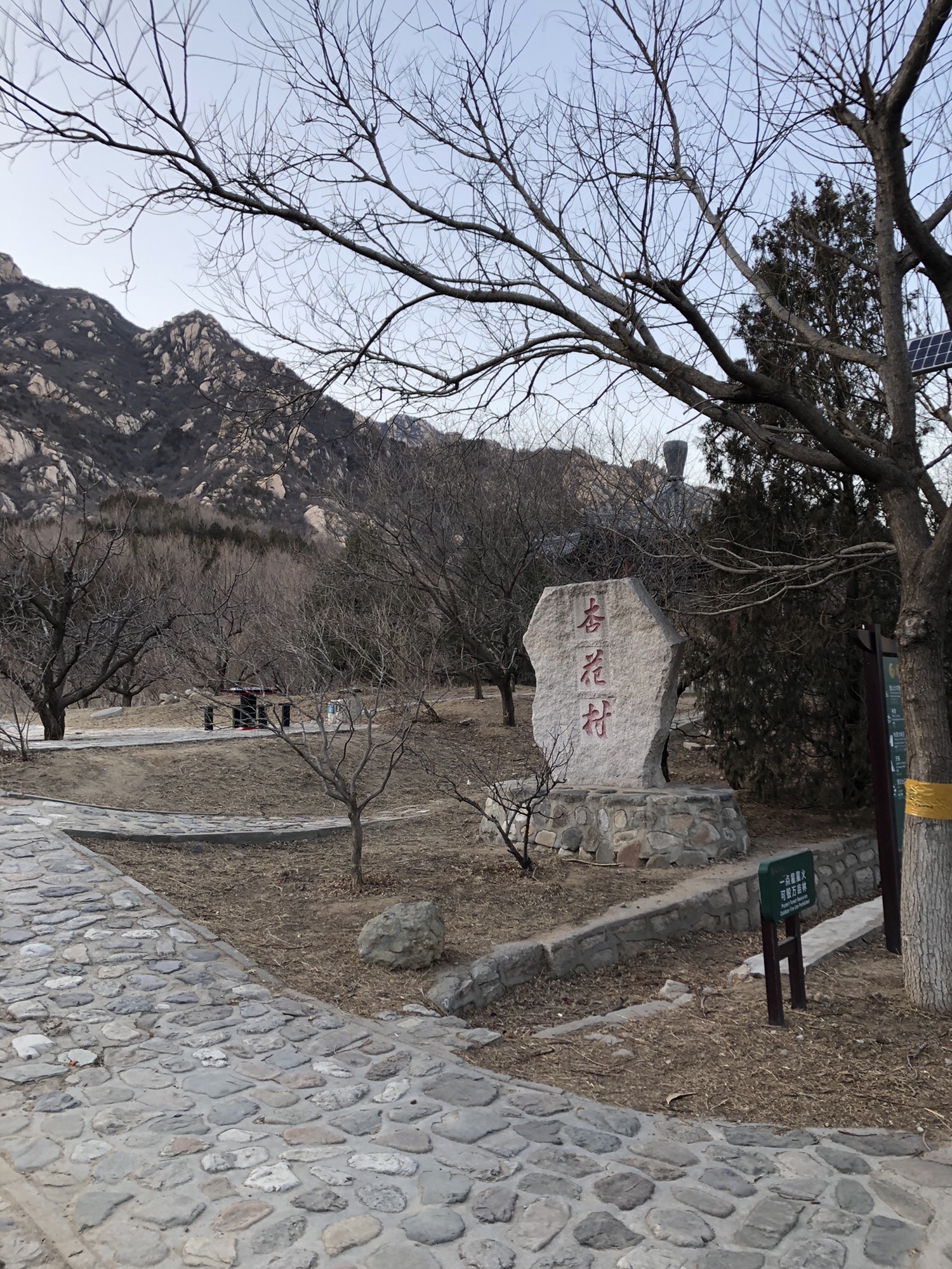 北京凤凰岭自然风景公园-杏花村