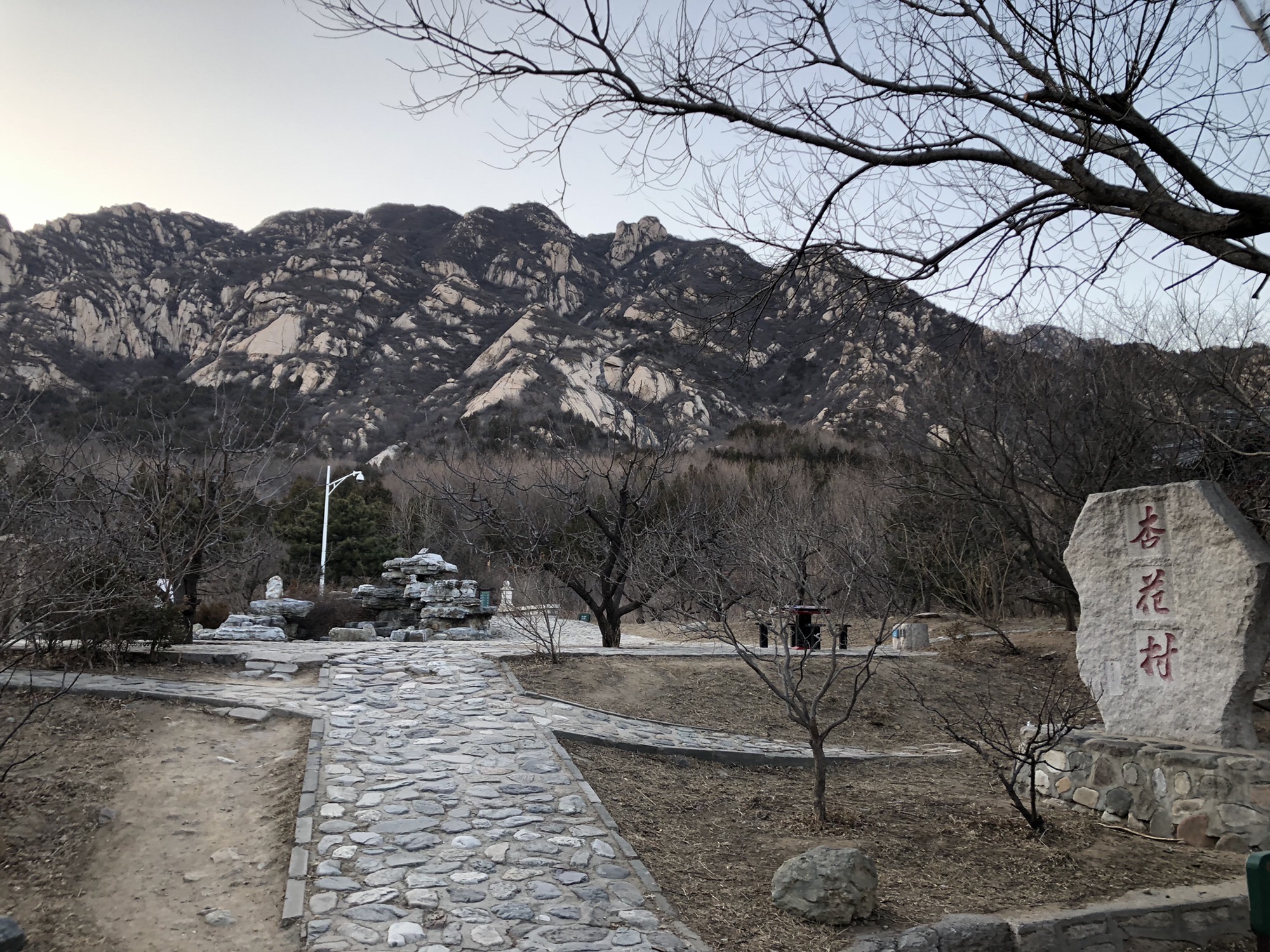 北京凤凰岭自然风景公园-杏花村