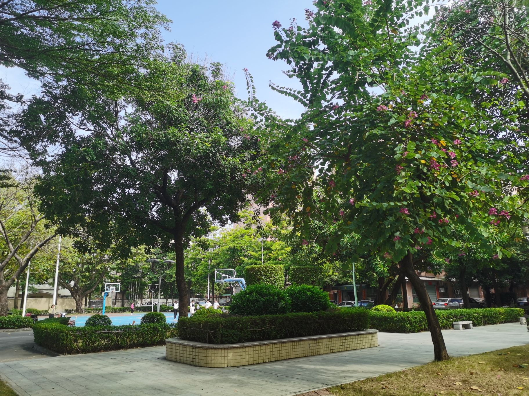彩虹公园旅行图片 3
