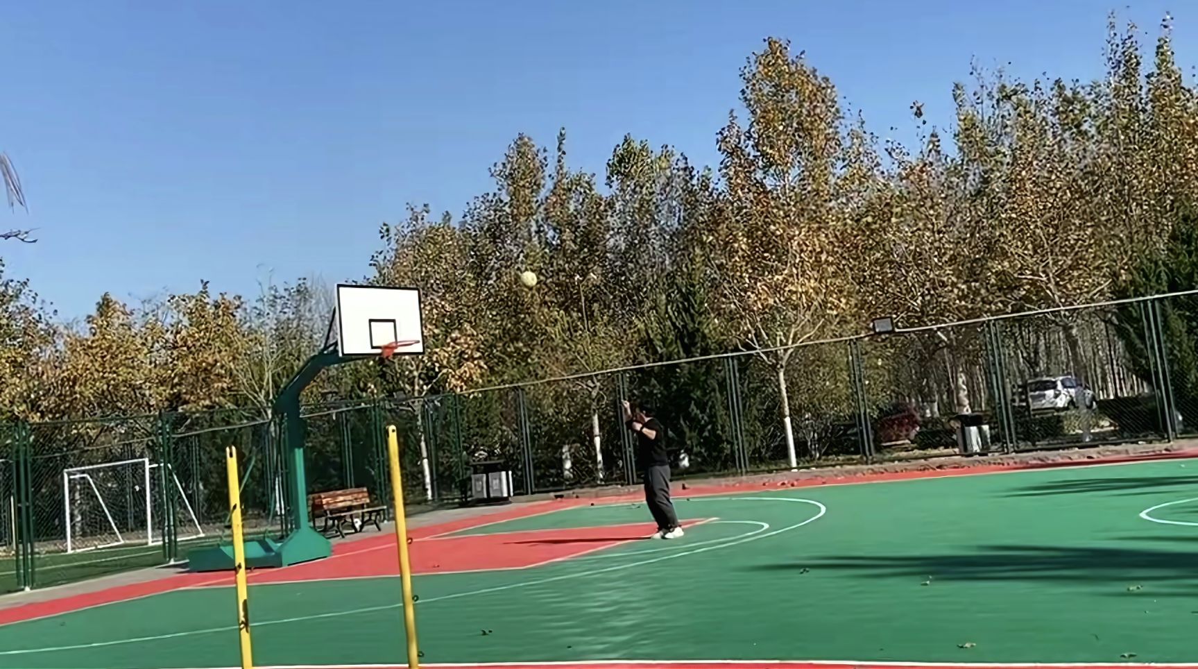 枫林园旅行图片 3