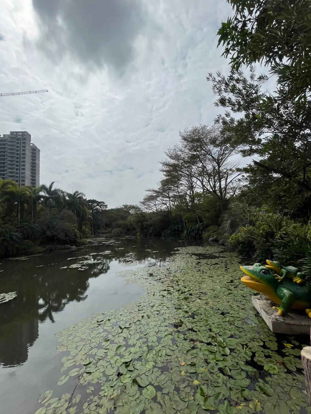 瑞云湖公园旅行图片 3
