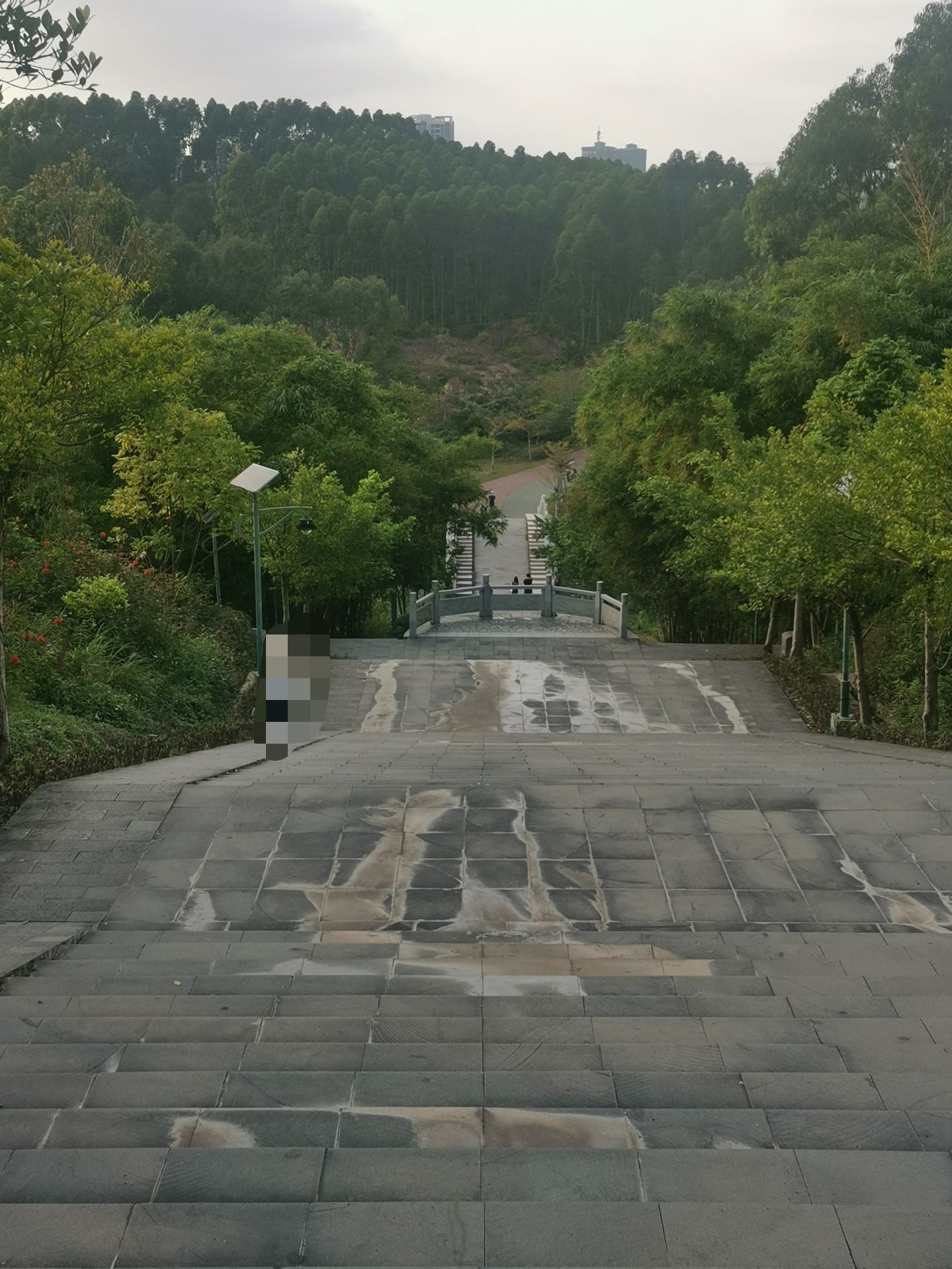 瑞云湖公园旅行图片 3