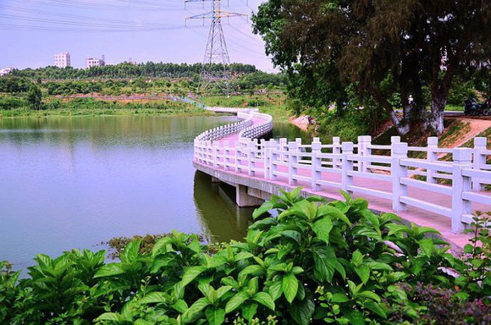 瑞云湖公园旅行图片 1