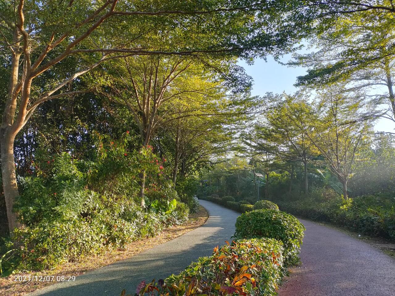 瑞云湖公园旅行图片 2
