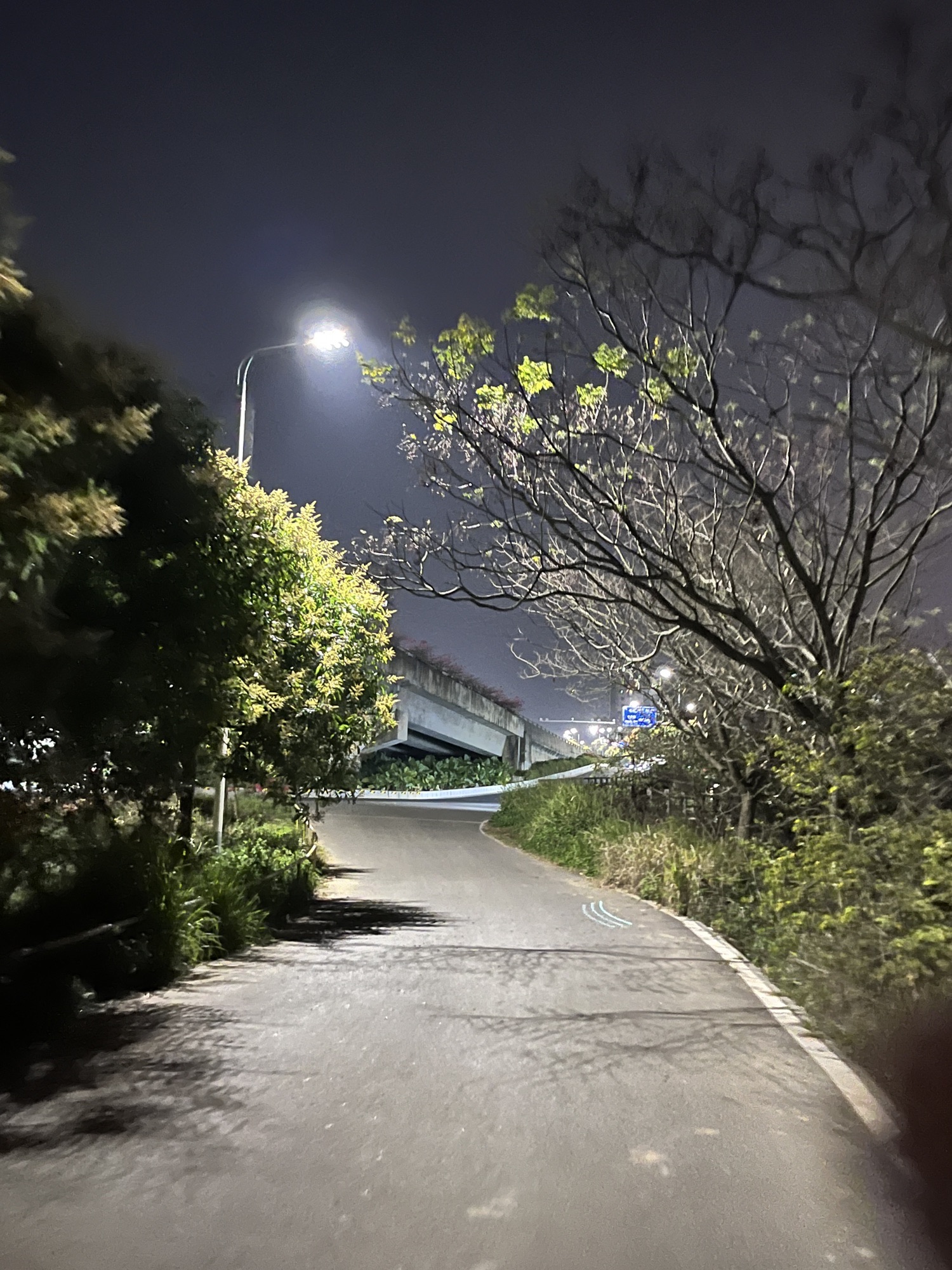 瑞云湖公园旅行图片 1
