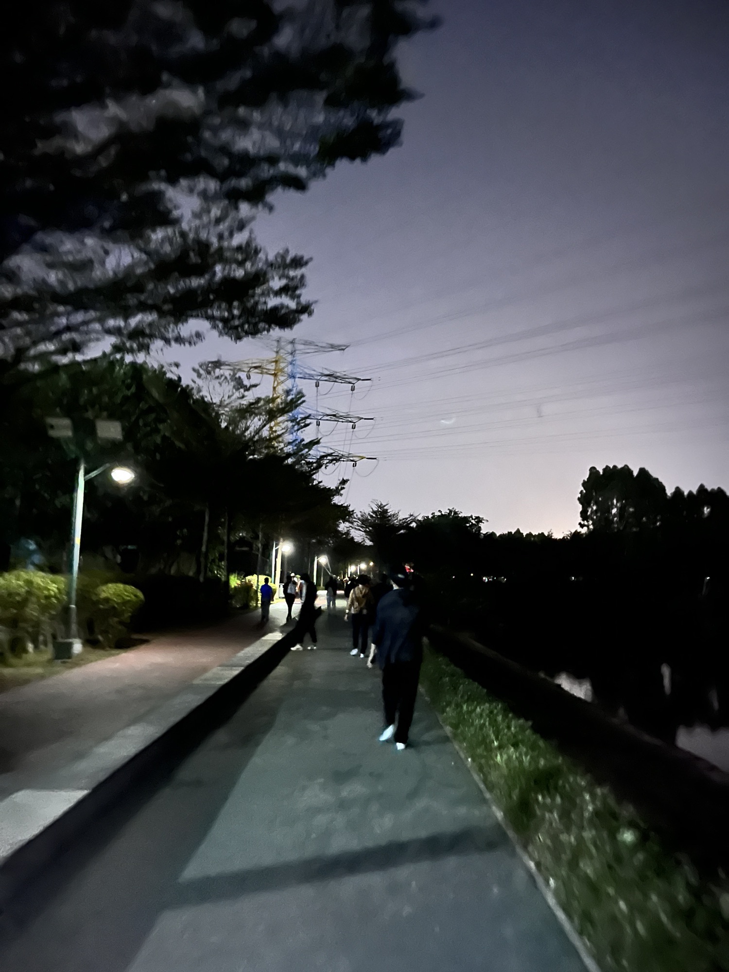 瑞云湖公园旅行图片 3