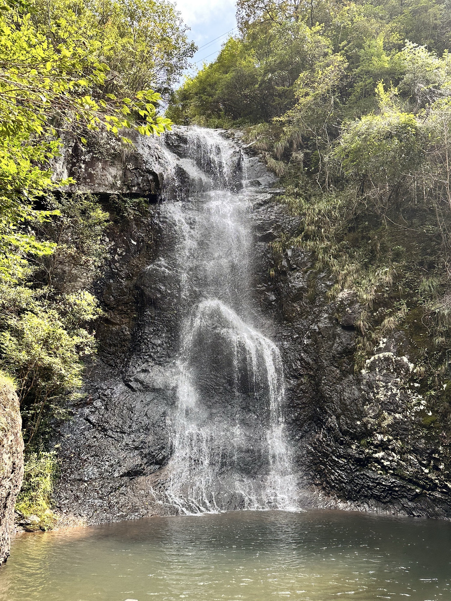 灵江源森林公园旅行图片 1