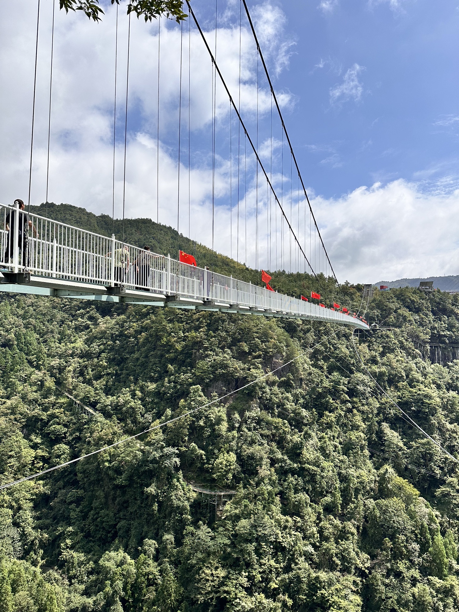 灵江源森林公园旅行图片 3