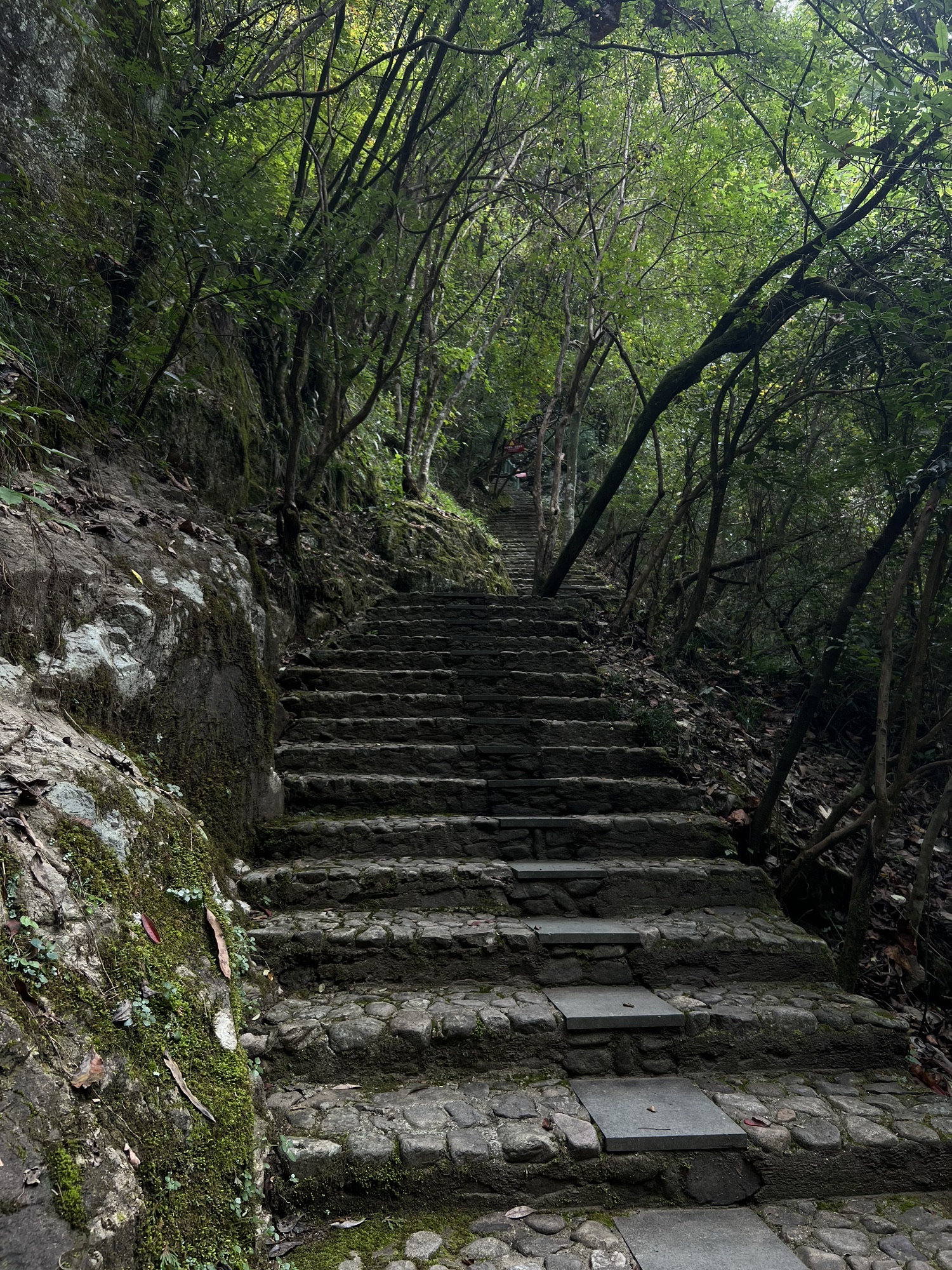 灵江源森林公园旅行图片 2