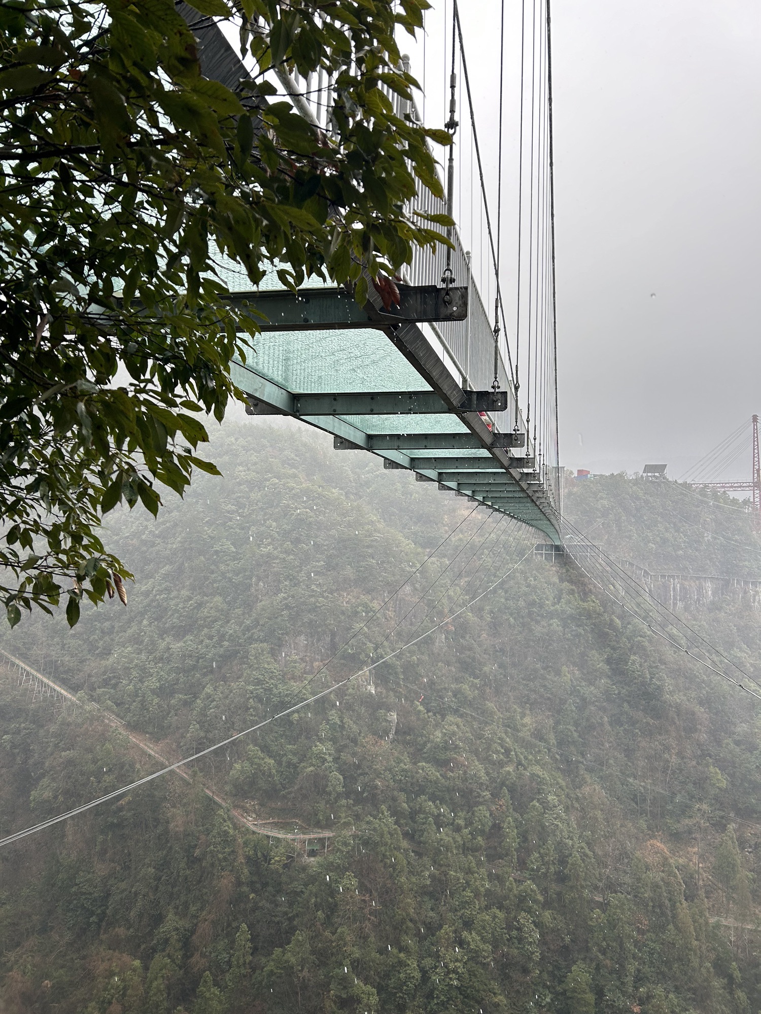 灵江源森林公园旅行图片 1