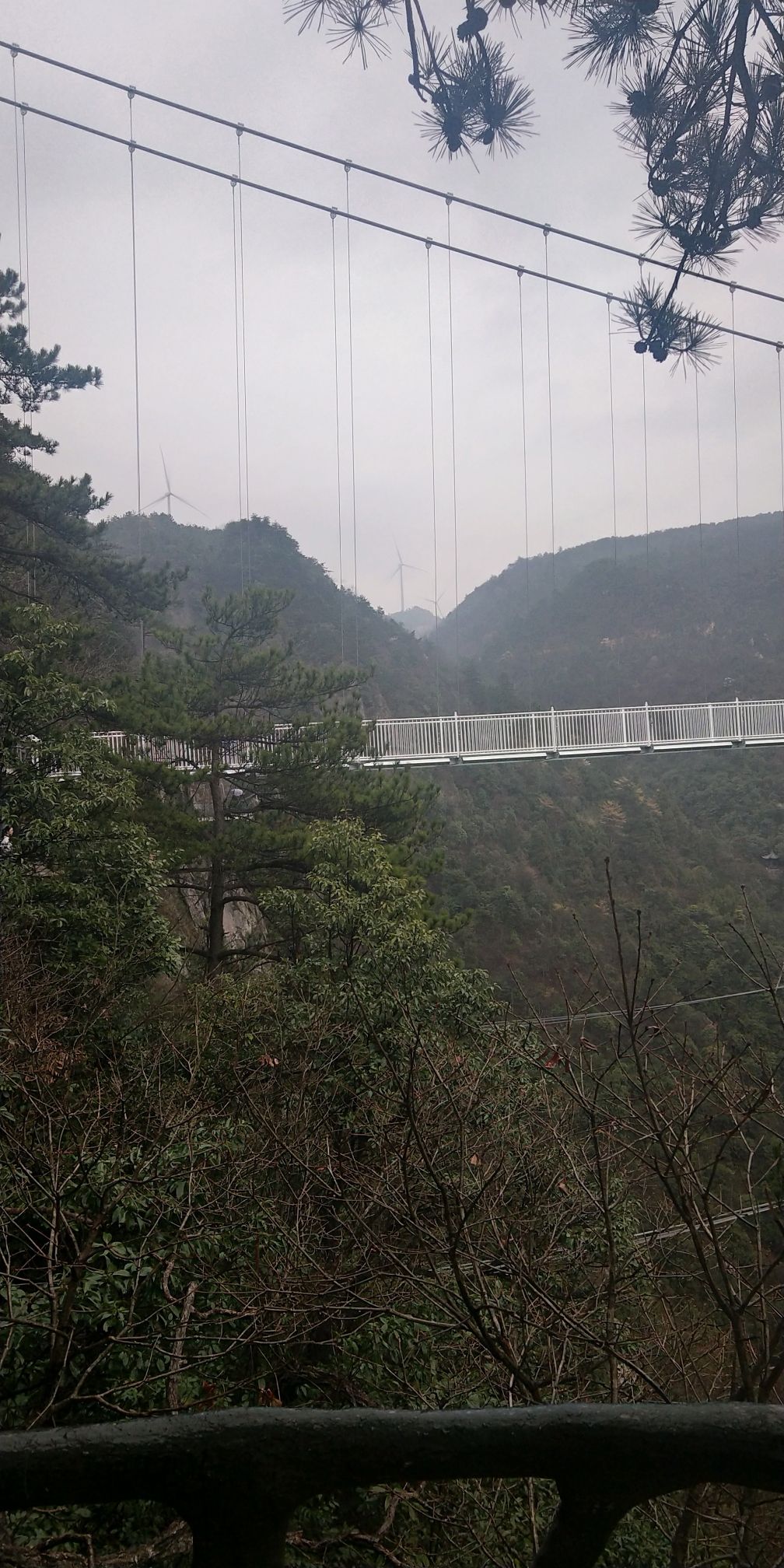 灵江源森林公园旅行图片 3