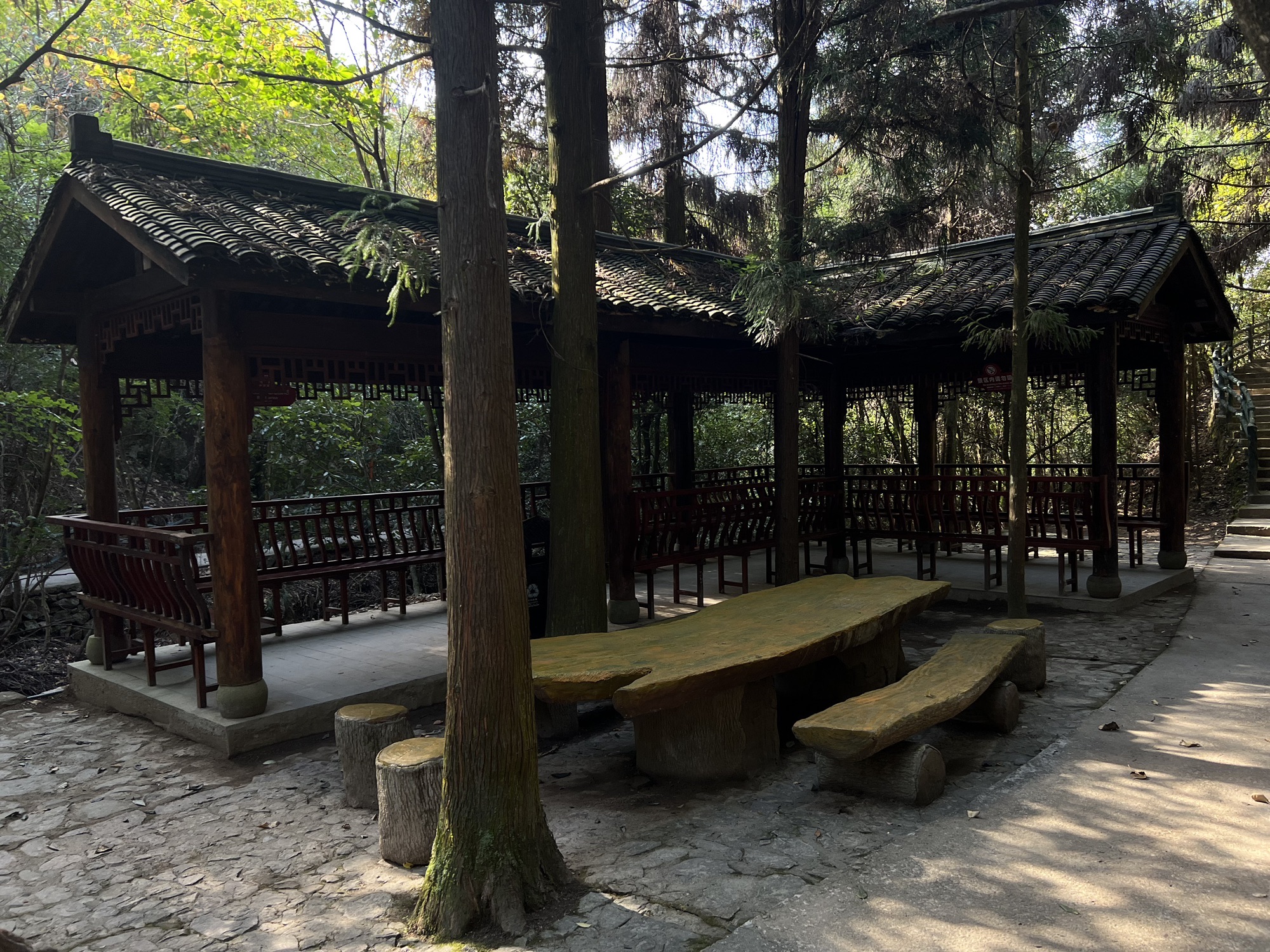 灵江源森林公园旅行图片 3