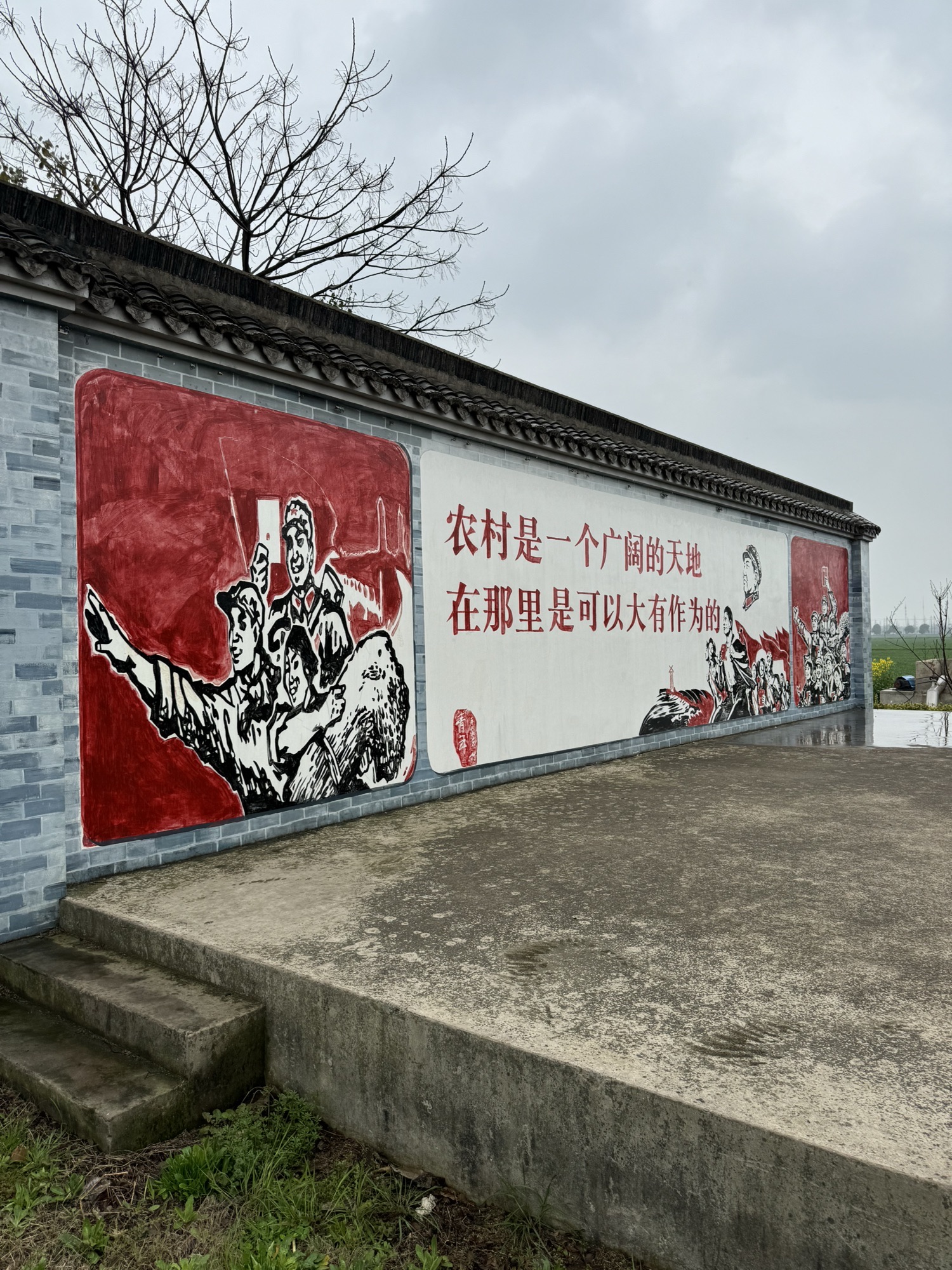 常阴沙生态农业旅游区旅行图片 2