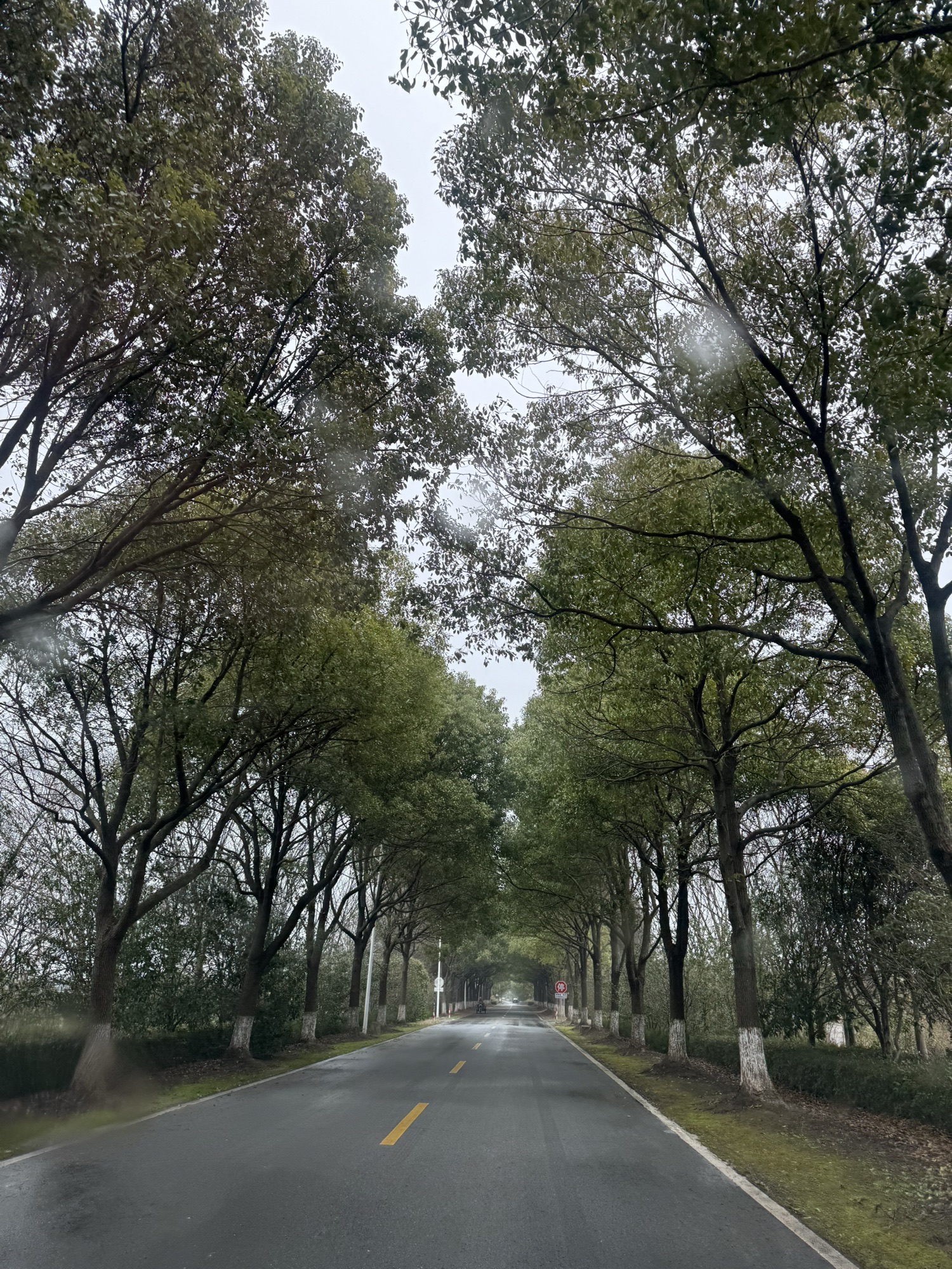 常阴沙生态农业旅游区旅行图片 1