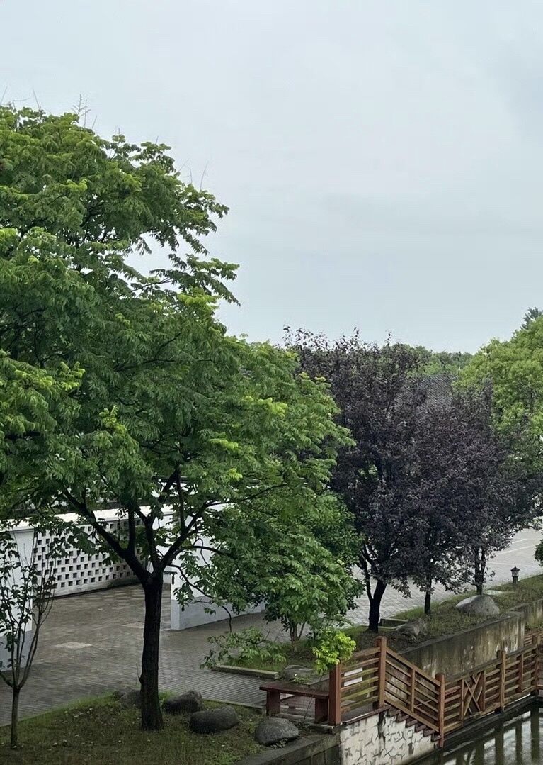 常阴沙生态农业旅游区旅行图片 2