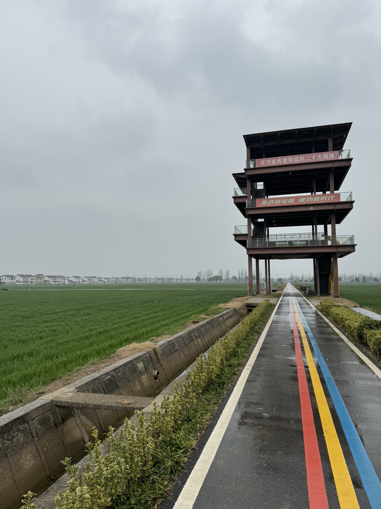常阴沙生态农业旅游区旅行图片 2