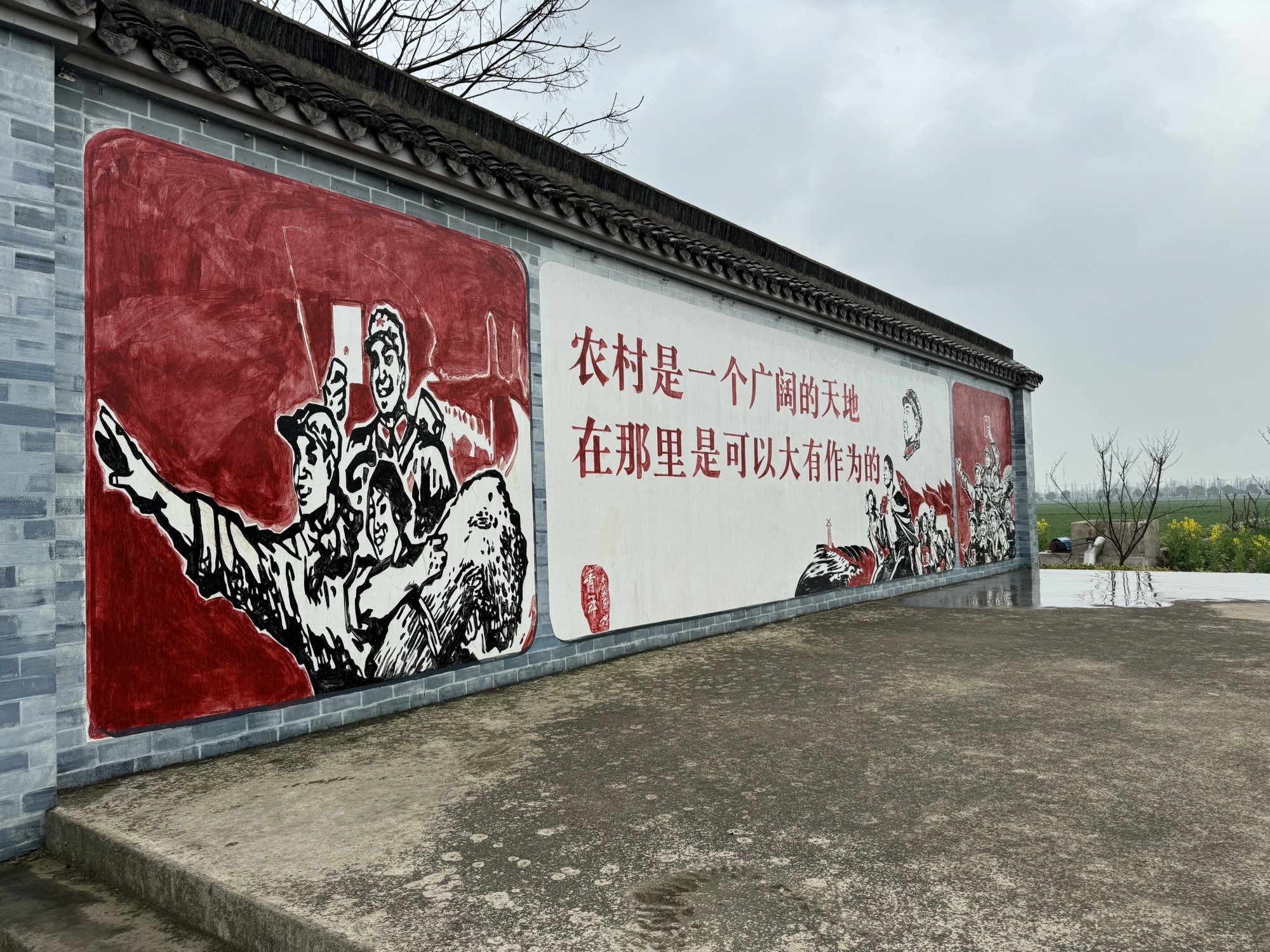 常阴沙生态农业旅游区旅行图片 3