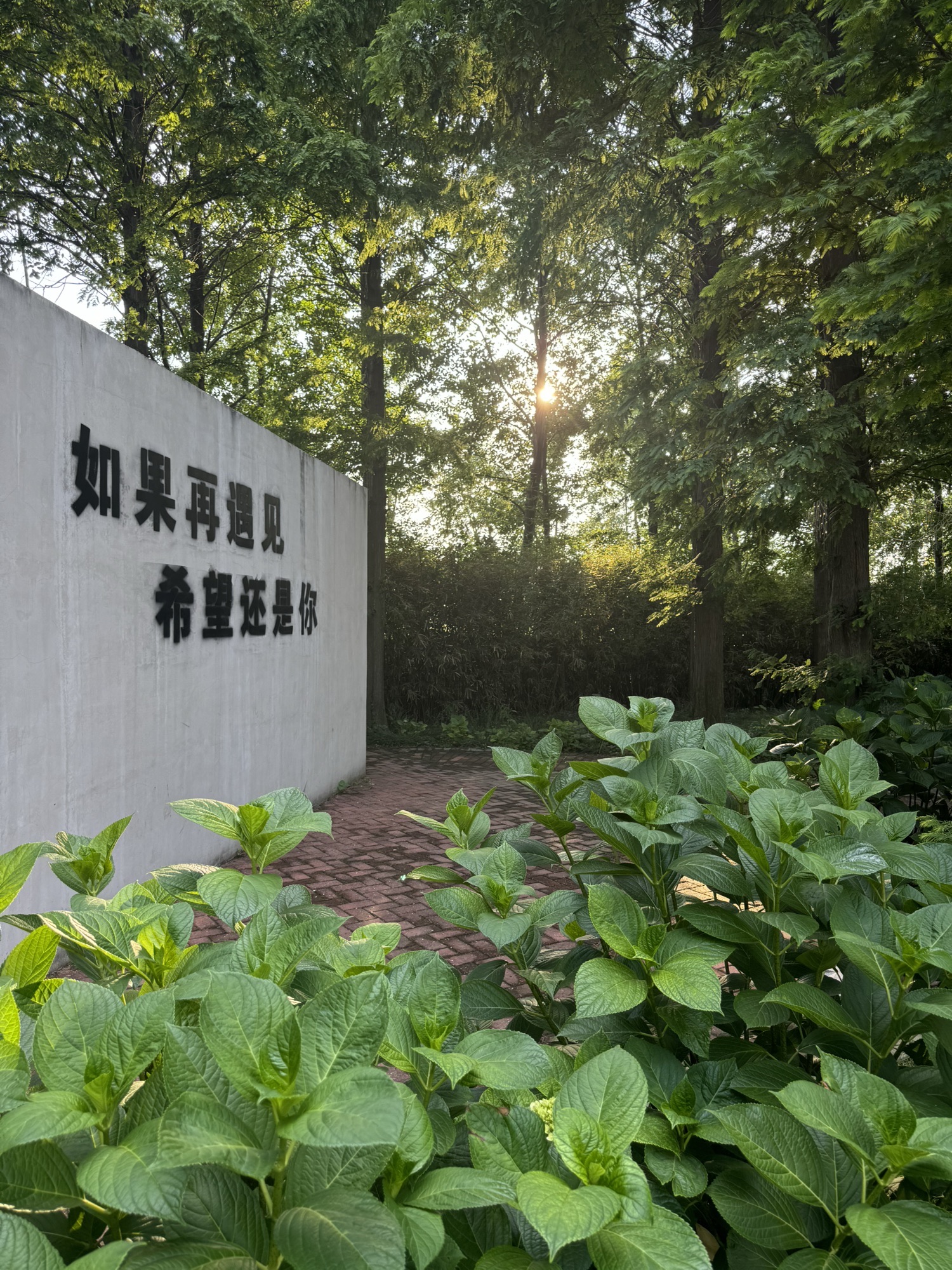 常阴沙生态农业旅游区旅行图片 3