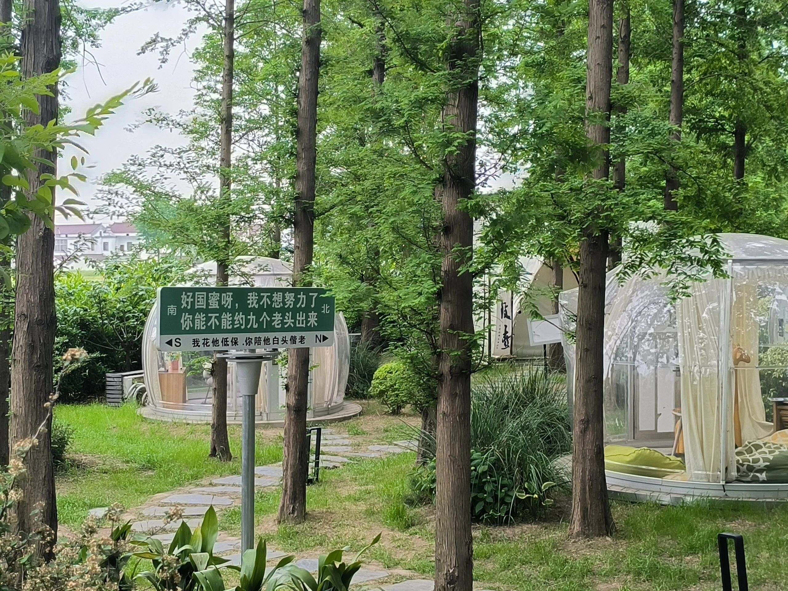 常阴沙生态农业旅游区旅行图片 2