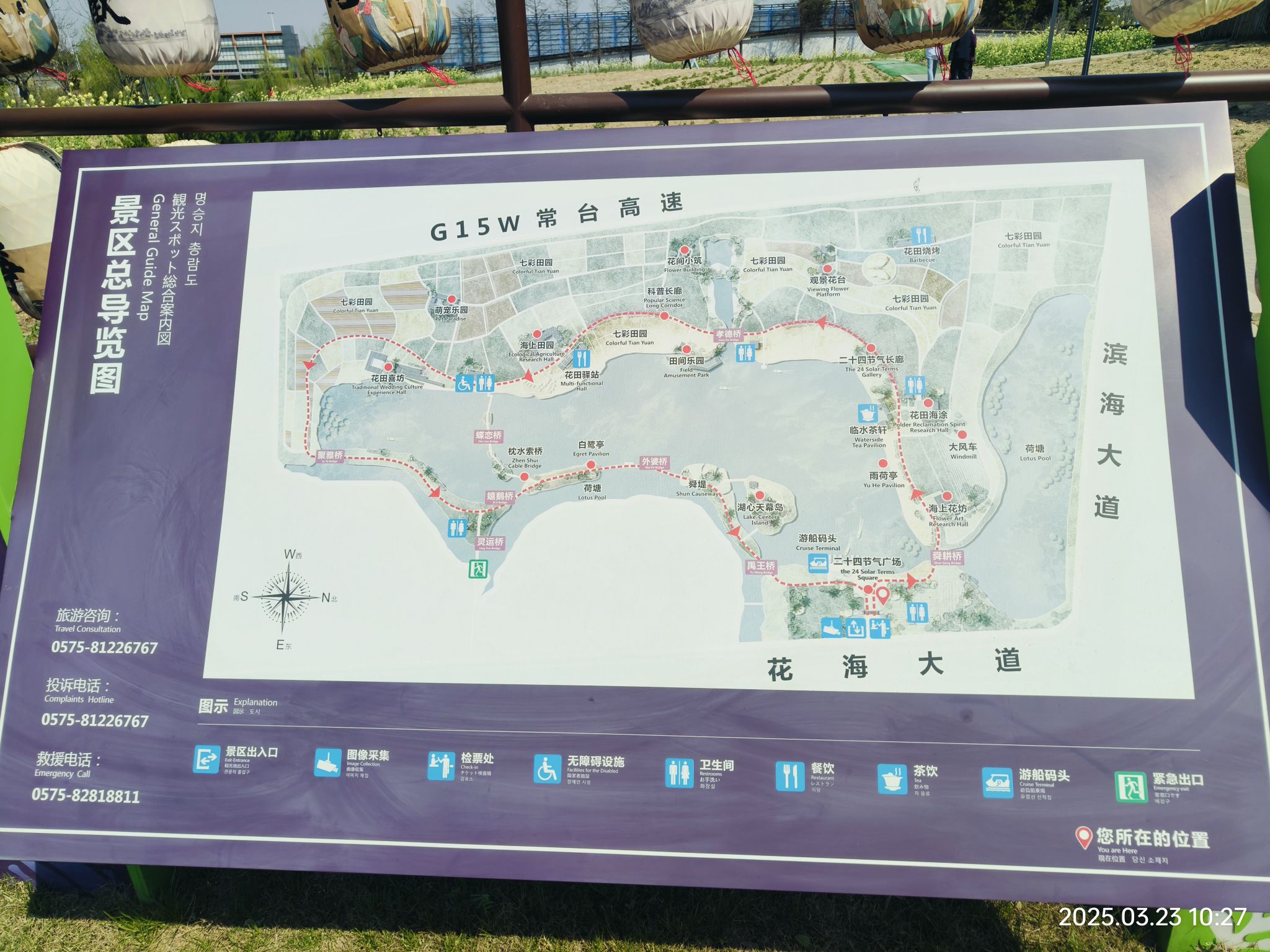 杭州湾海上花田景区旅行图片 3