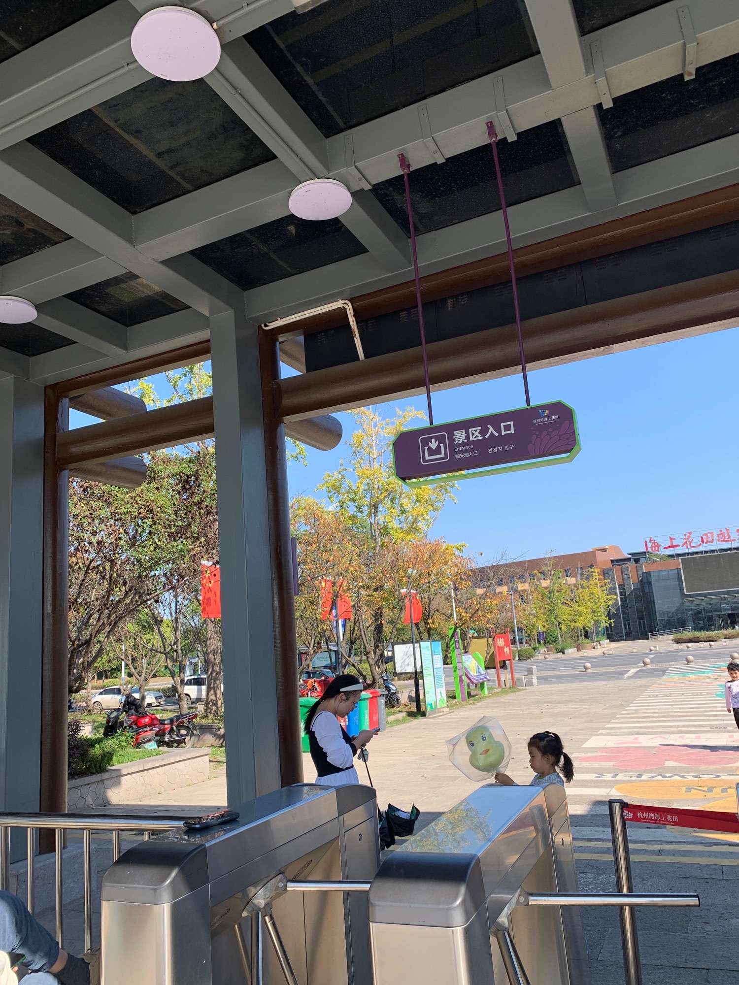 杭州湾海上花田景区旅行图片 3