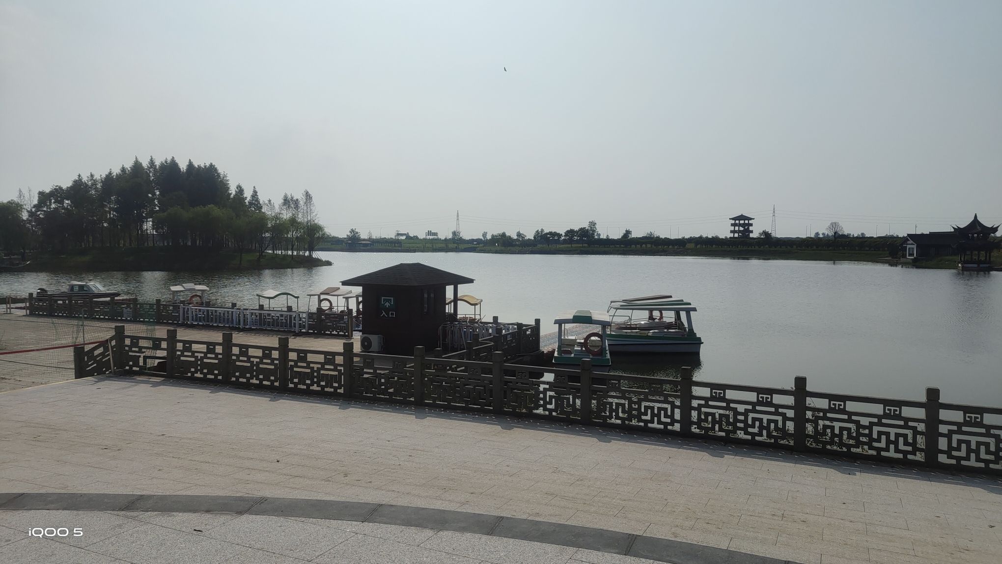 杭州湾海上花田景区旅行图片 2