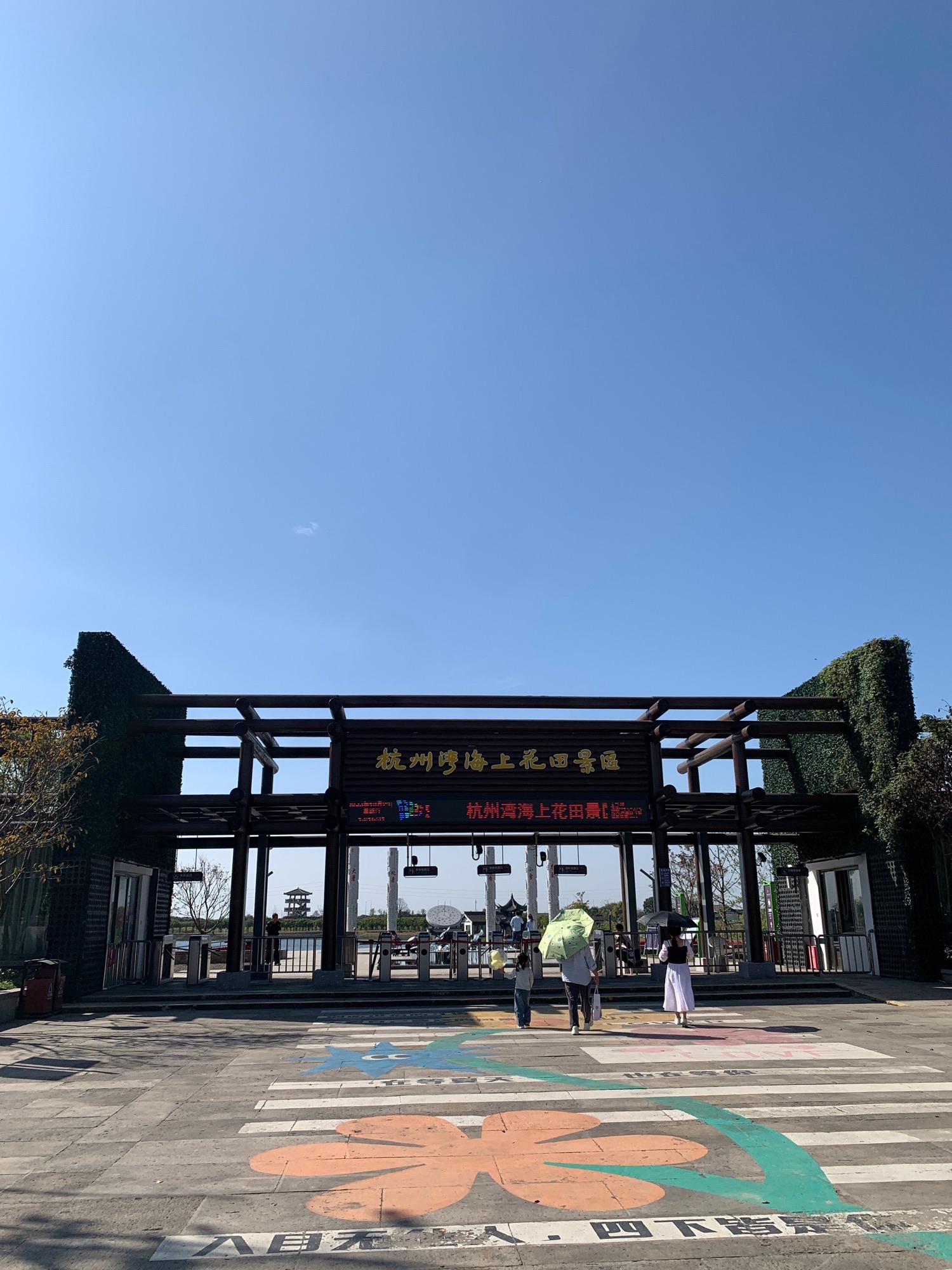 杭州湾海上花田景区旅行图片 1