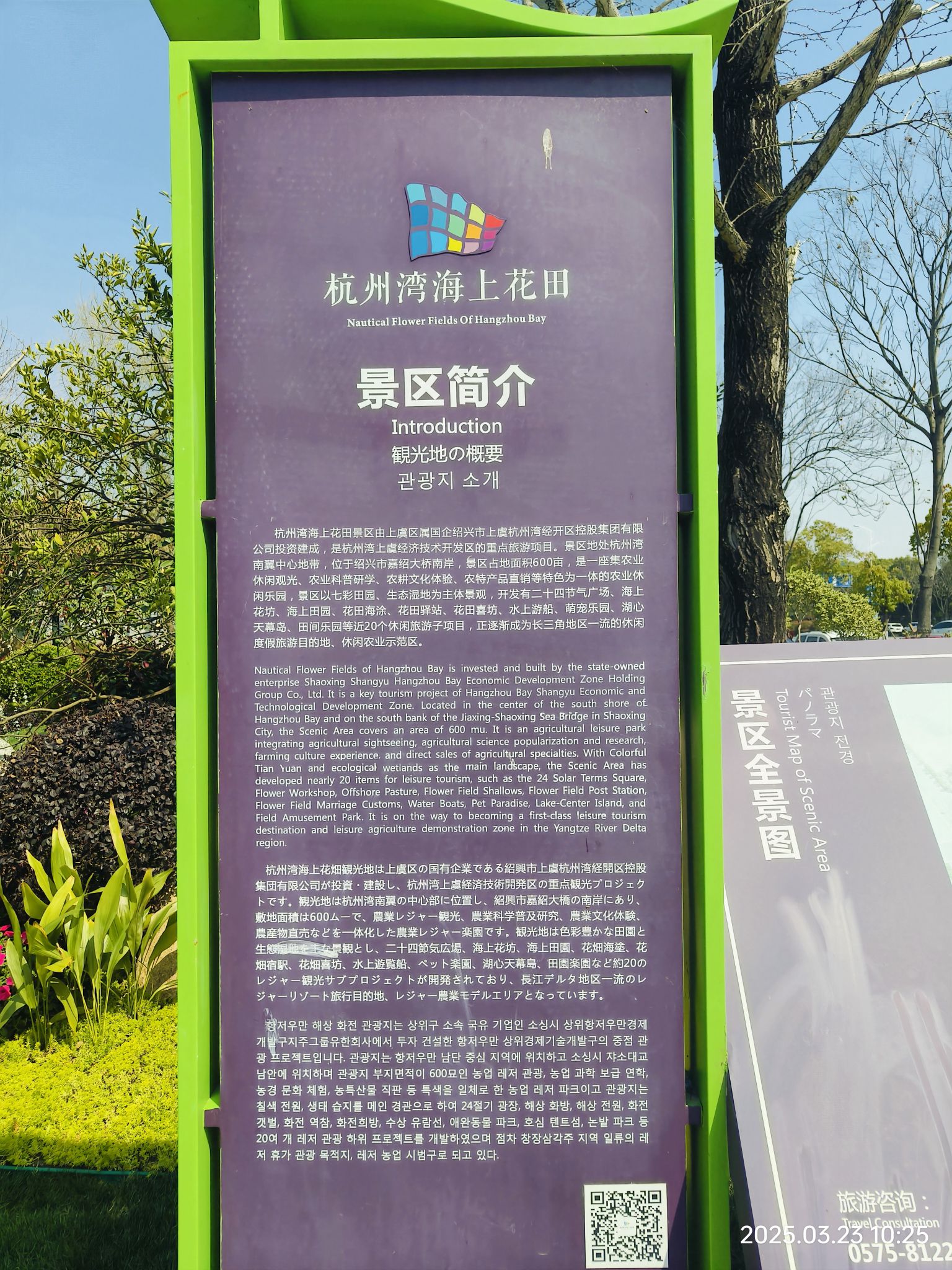 杭州湾海上花田景区旅行图片 1