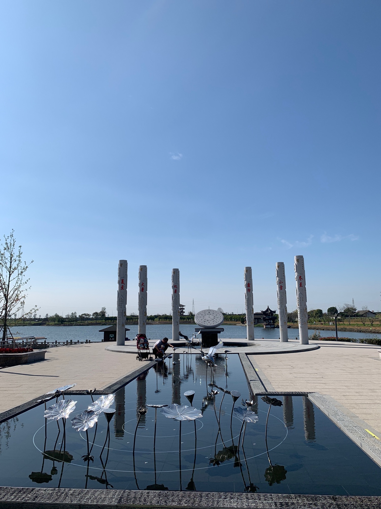 杭州湾海上花田景区旅行图片 2