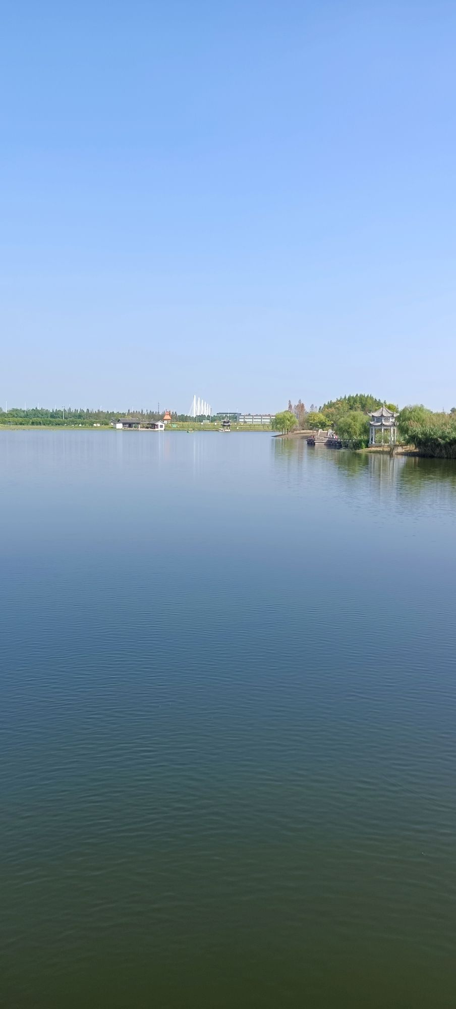 杭州湾海上花田景区旅行图片 2