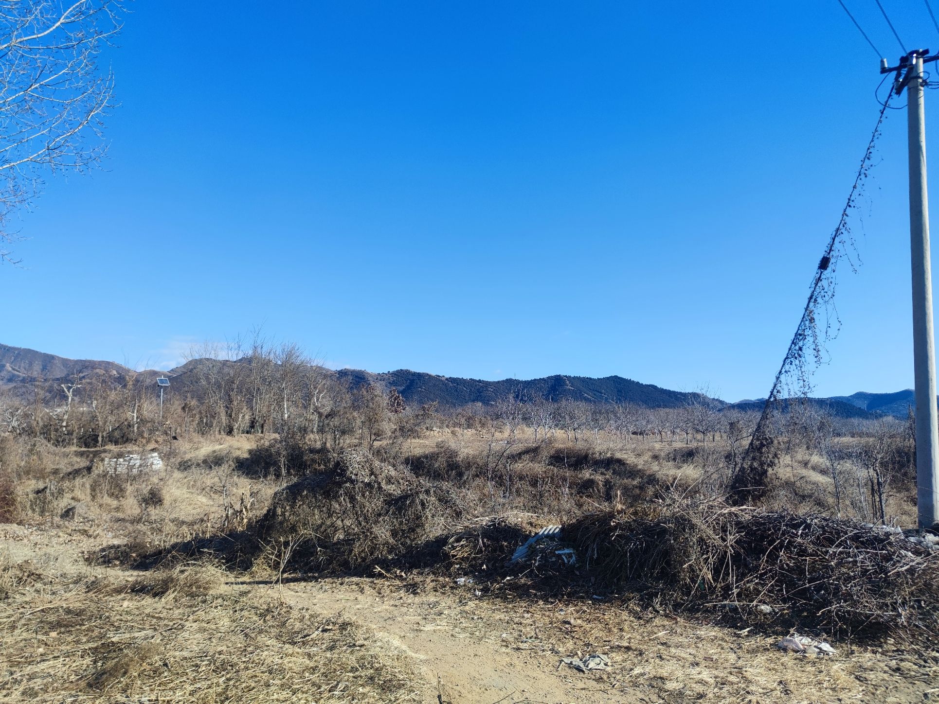 盘山野生动植物园旅行图片 1