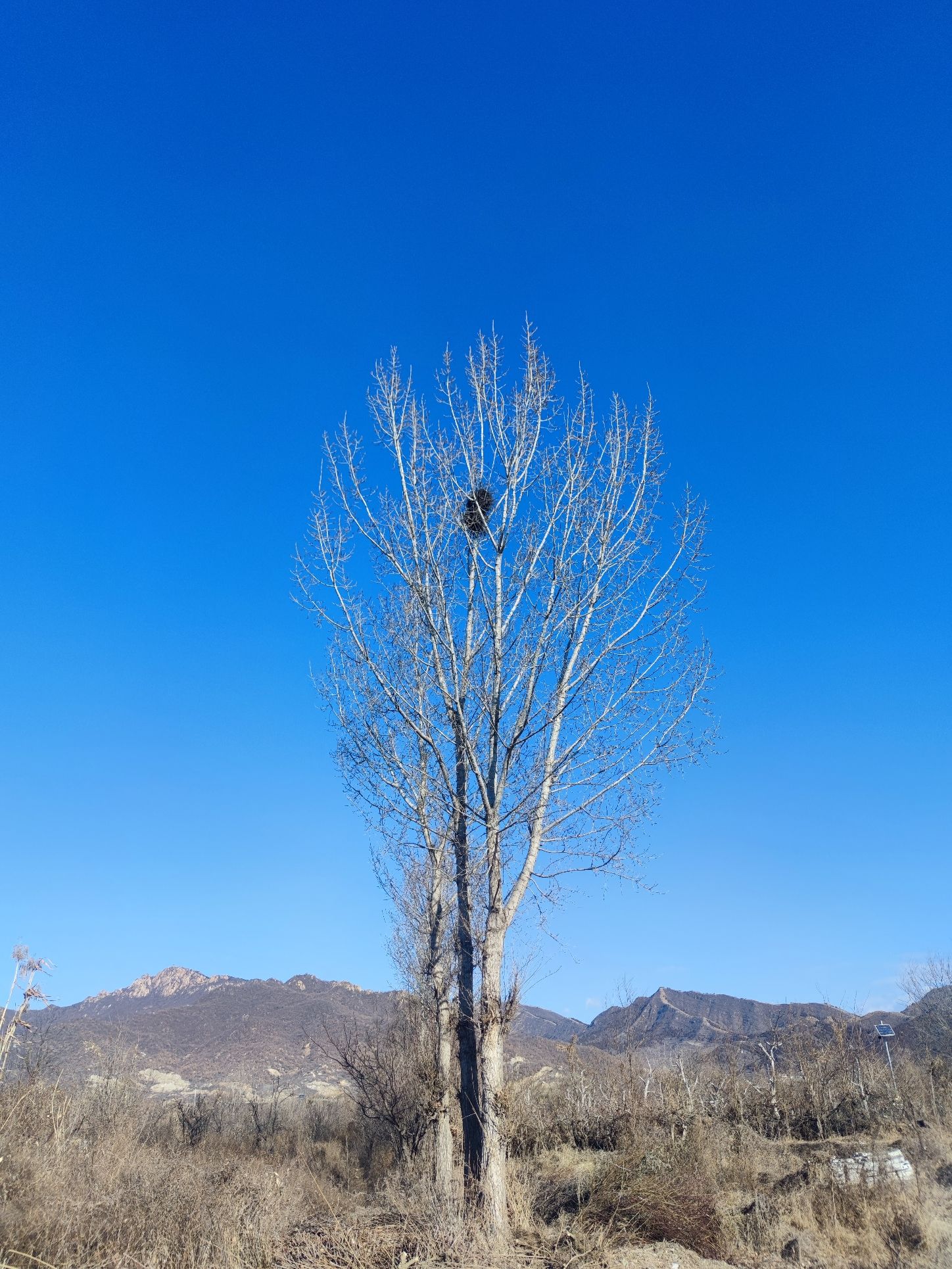 盘山野生动植物园旅行图片 2